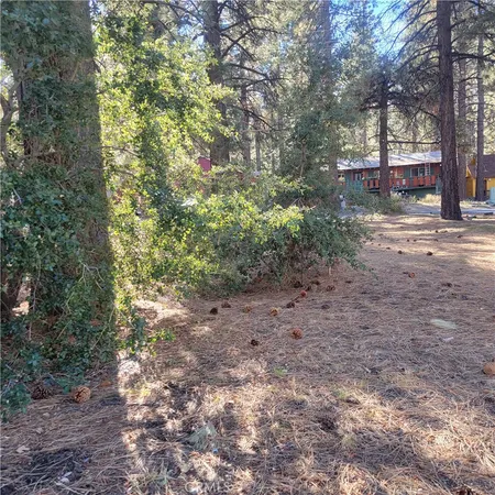 a view of a yard with plants and trees
