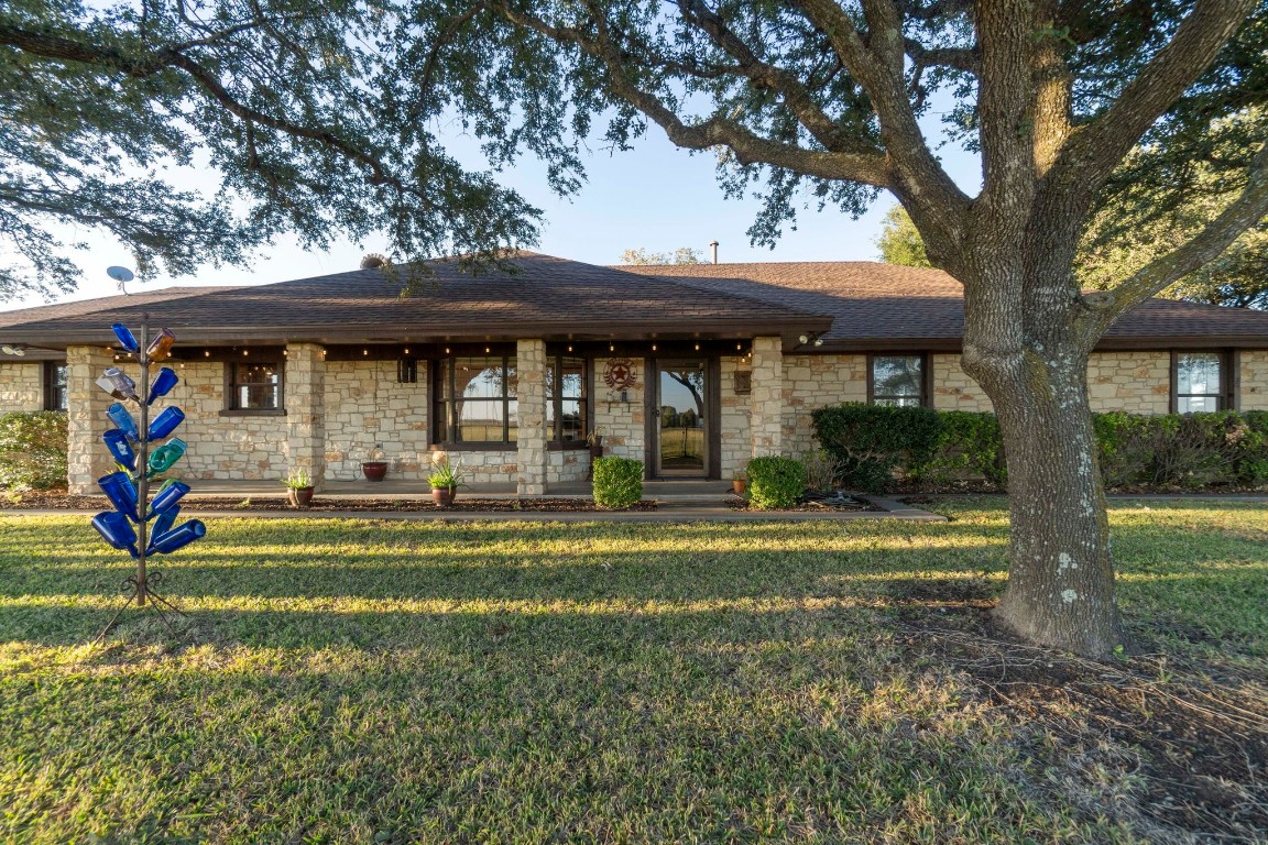 a view of a backyard that has a tree