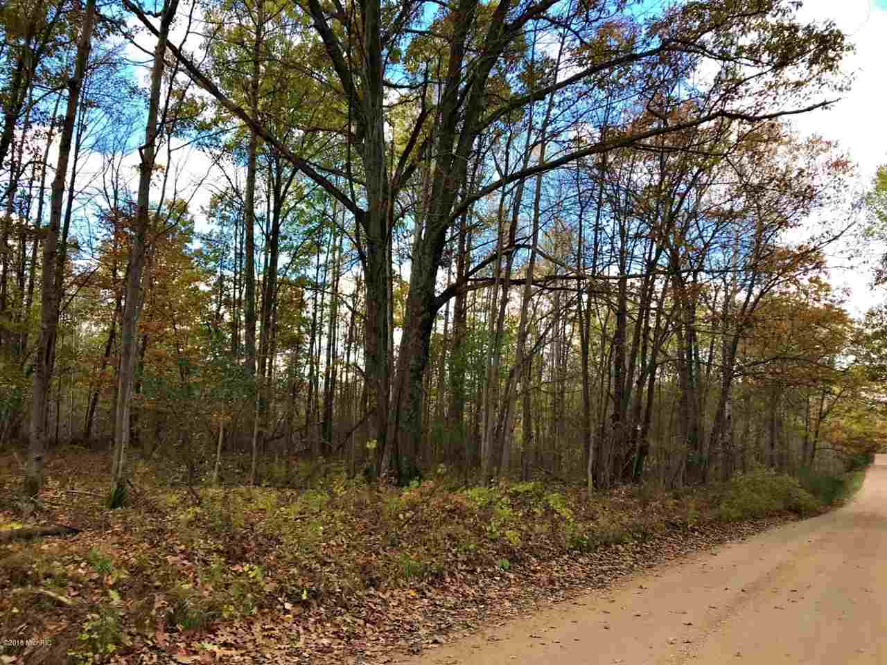 7 7 Mile Road Sears, MI 49679 - Photo 16 of 39
