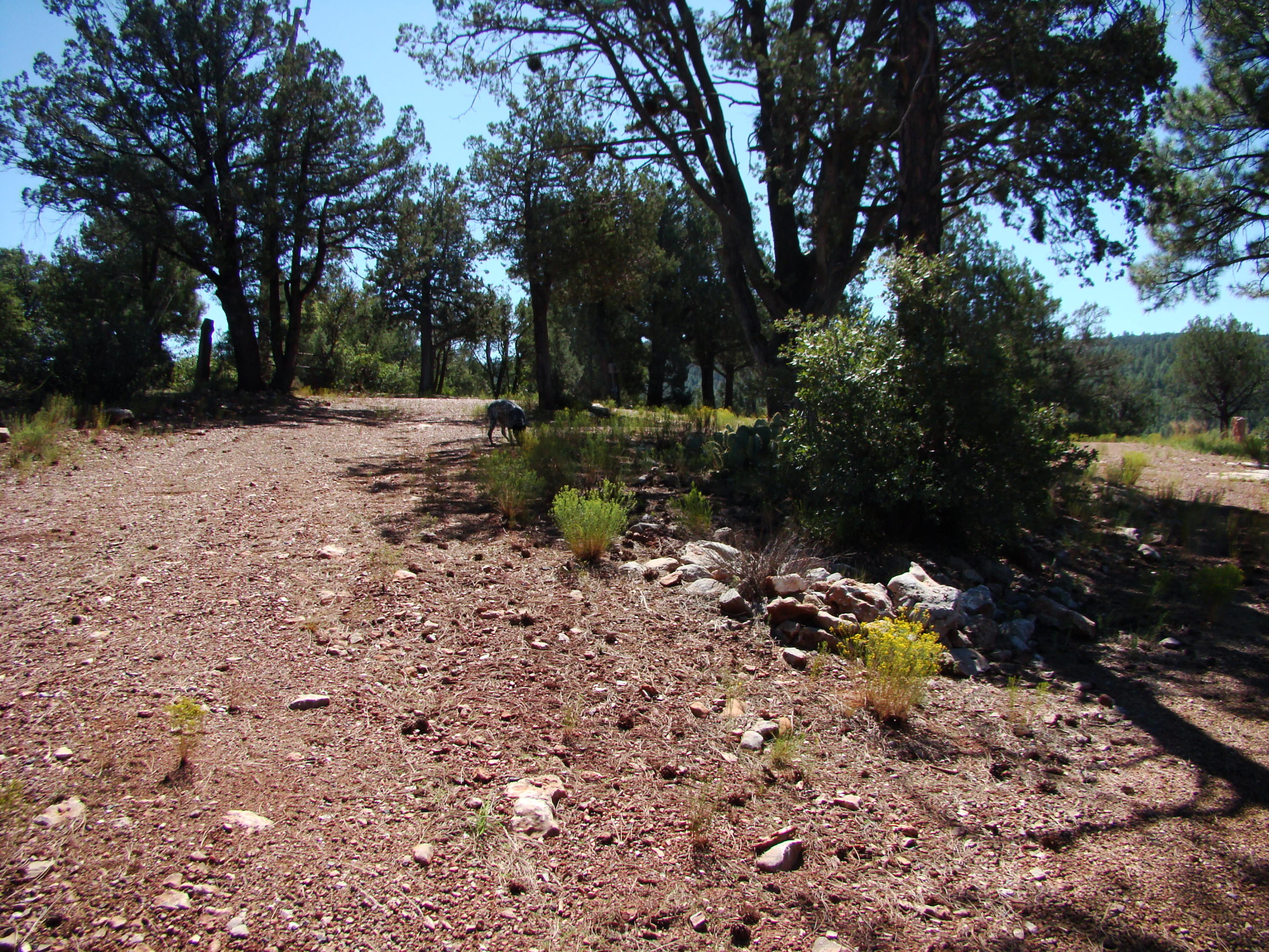 17033 Fire Control Road Payson, AZ 85541 - Photo 6 of 28