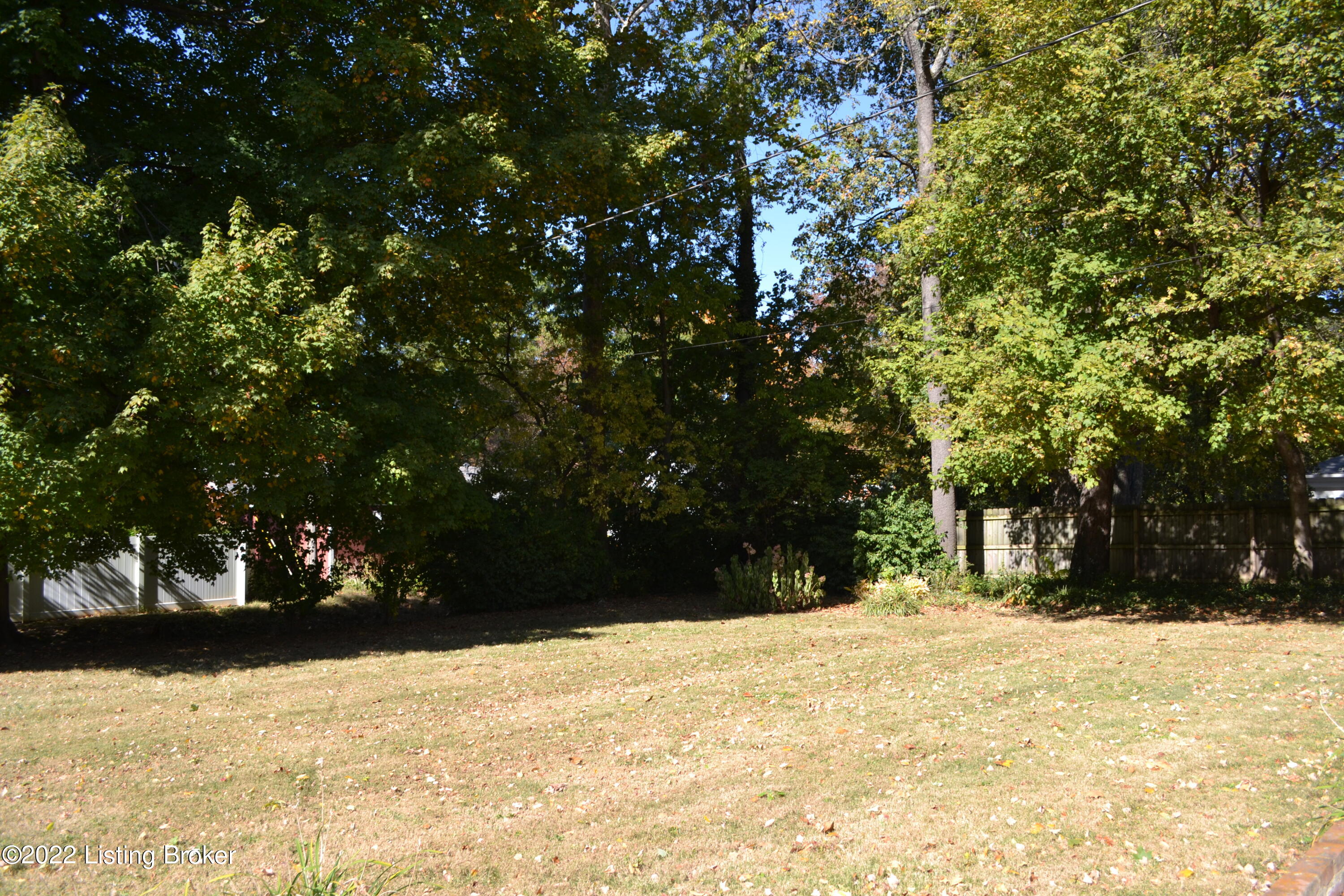208 South Hampton Road Louisville, KY 40222 - Photo 20 of 59 DSC_0020