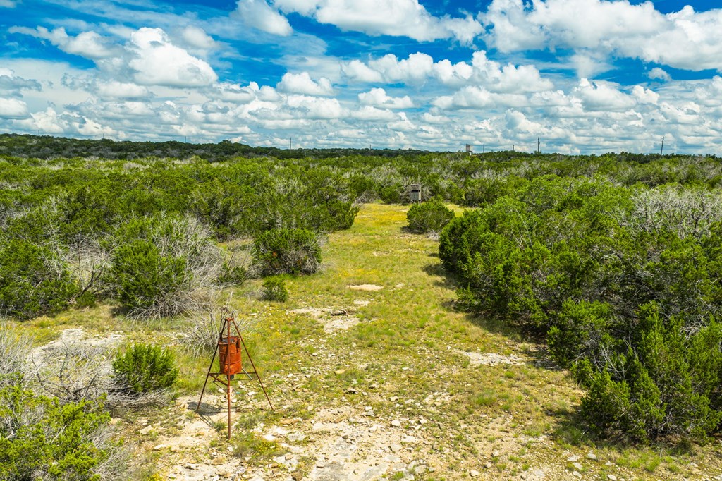 0 Jackson Ranch Rocksprings, TX 78880 - Photo 8 of 27