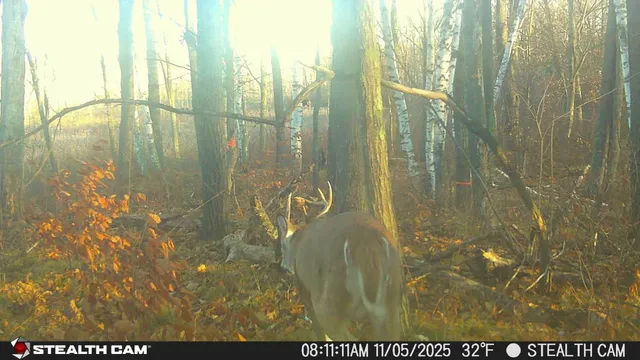 $264,900 | 4926 Iroquois Loop Trail, Motley, MN 56466