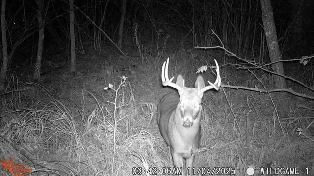 $264,900 | 4926 Iroquois Loop Trail, Motley, MN 56466