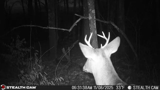 $264,900 | 4926 Iroquois Loop Trail, Motley, MN 56466