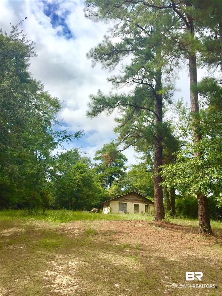 0 Hillview Drive Flomaton, AL 36441 - Photo 1 of 4