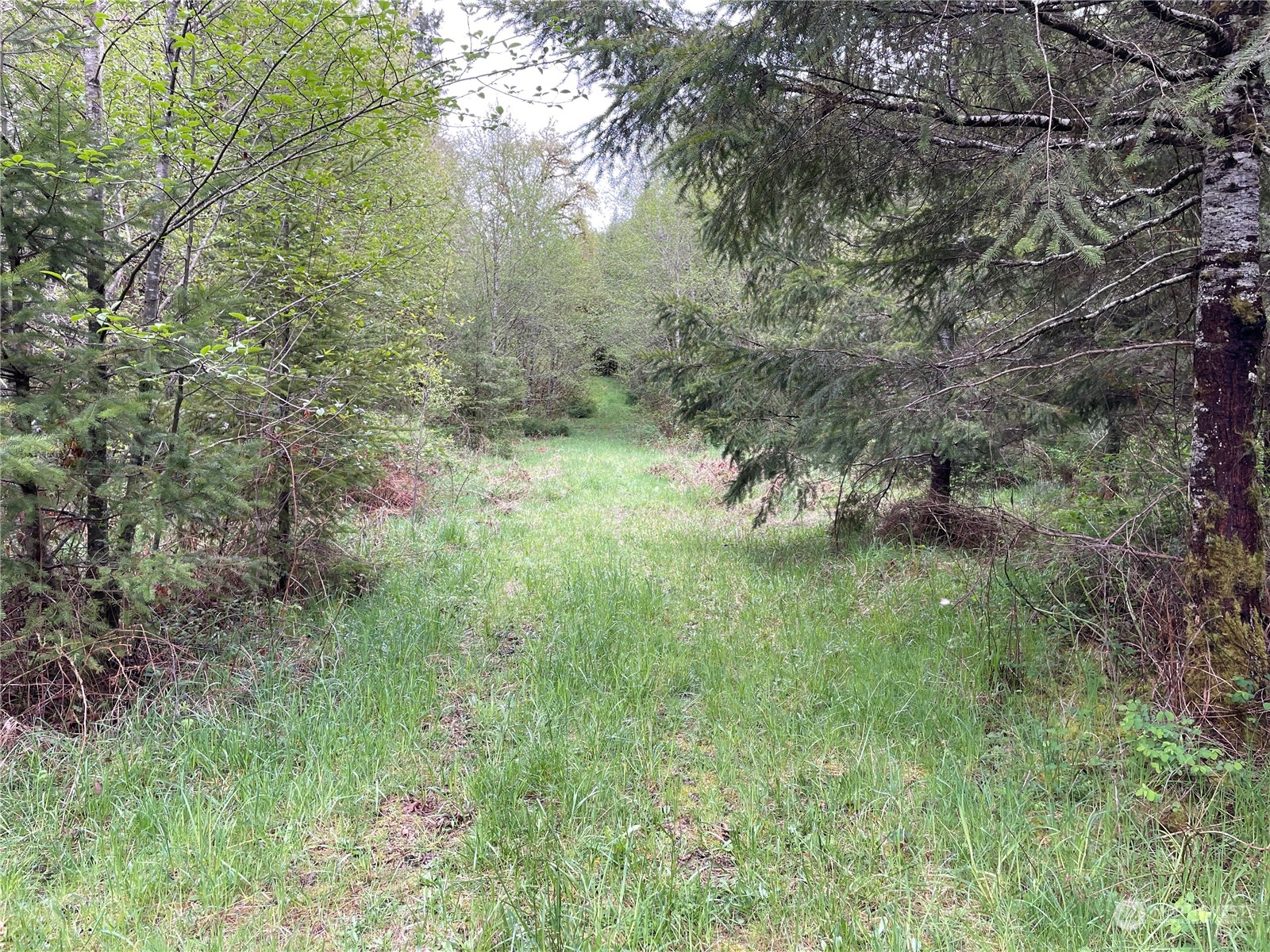 -na Germany Creek Road Longview, WA 98632 - Photo 11 of 37 Gallery Image 11