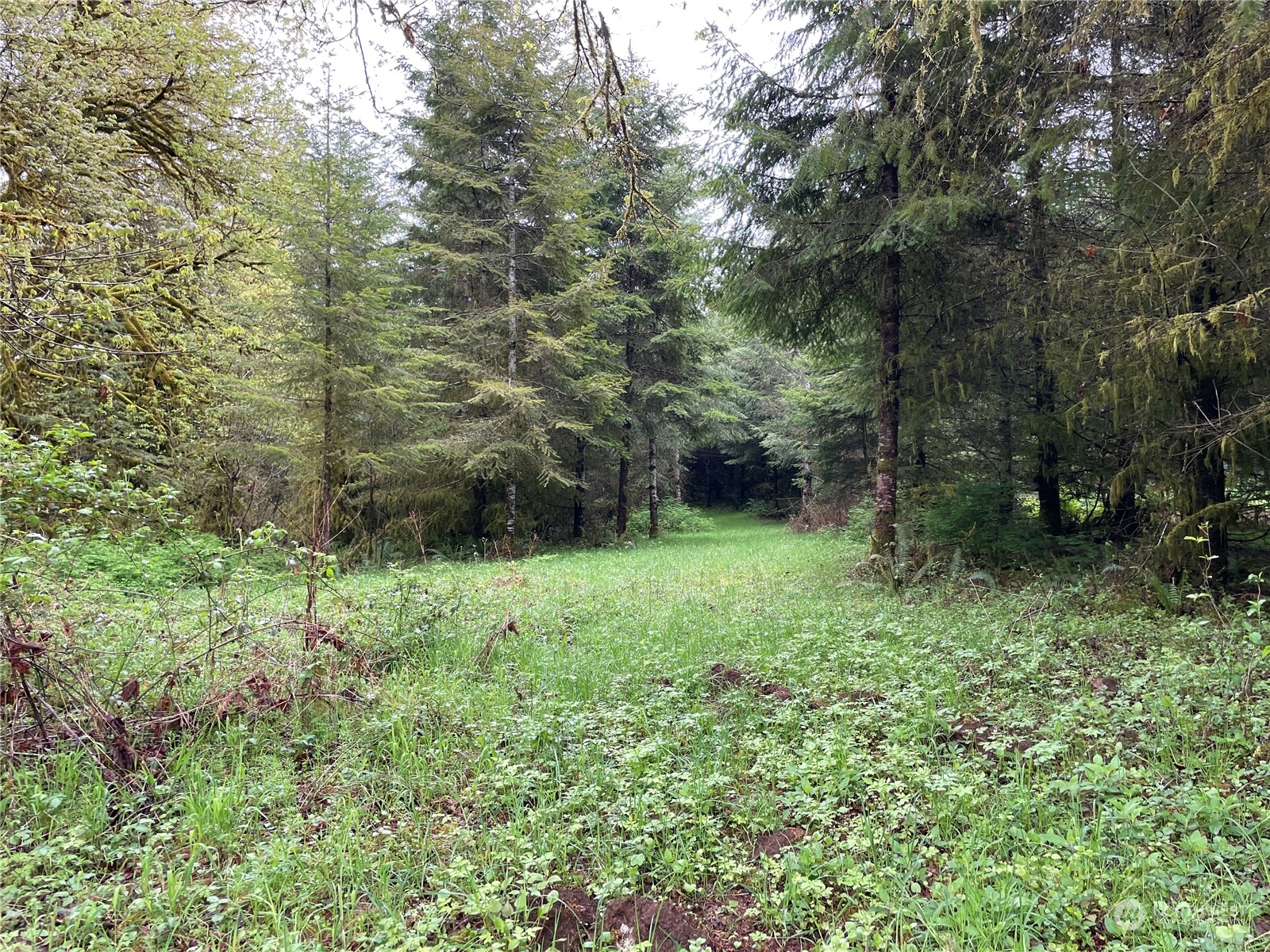 -na Germany Creek Road Longview, WA 98632 - Photo 13 of 37 Gallery Image 13
