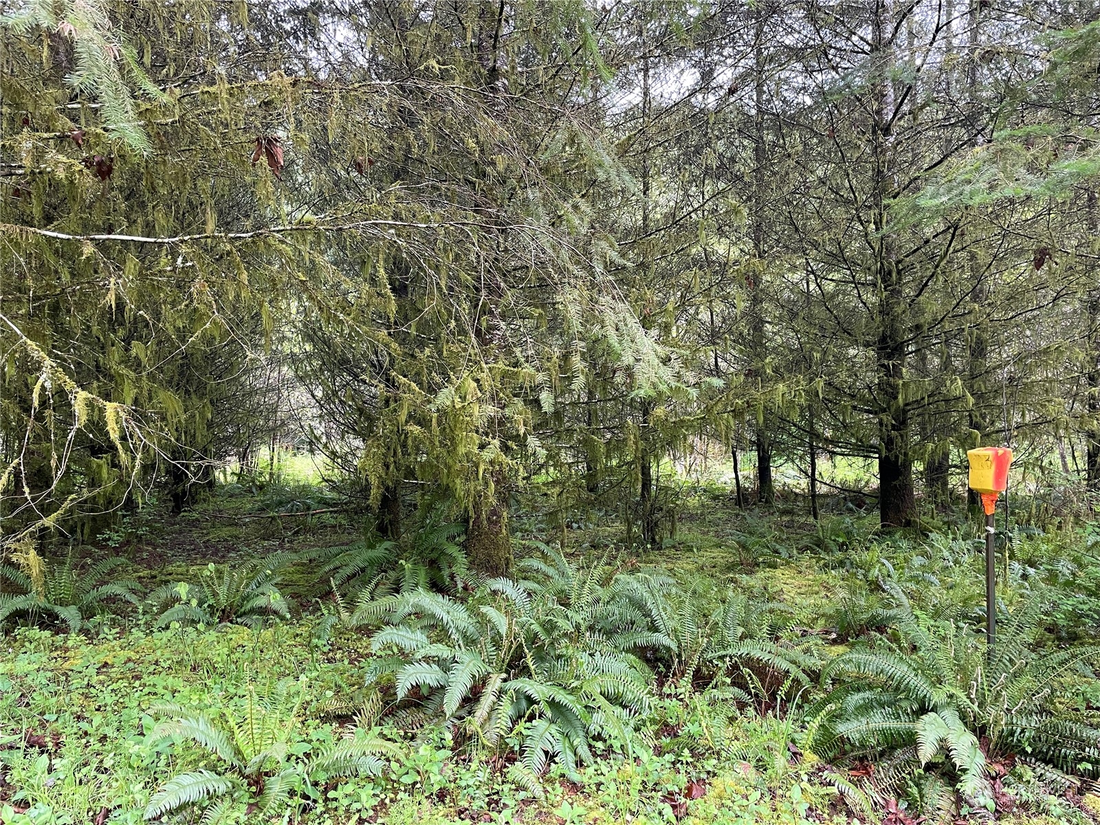 -na Germany Creek Road Longview, WA 98632 - Photo 14 of 37 Gallery Image 14