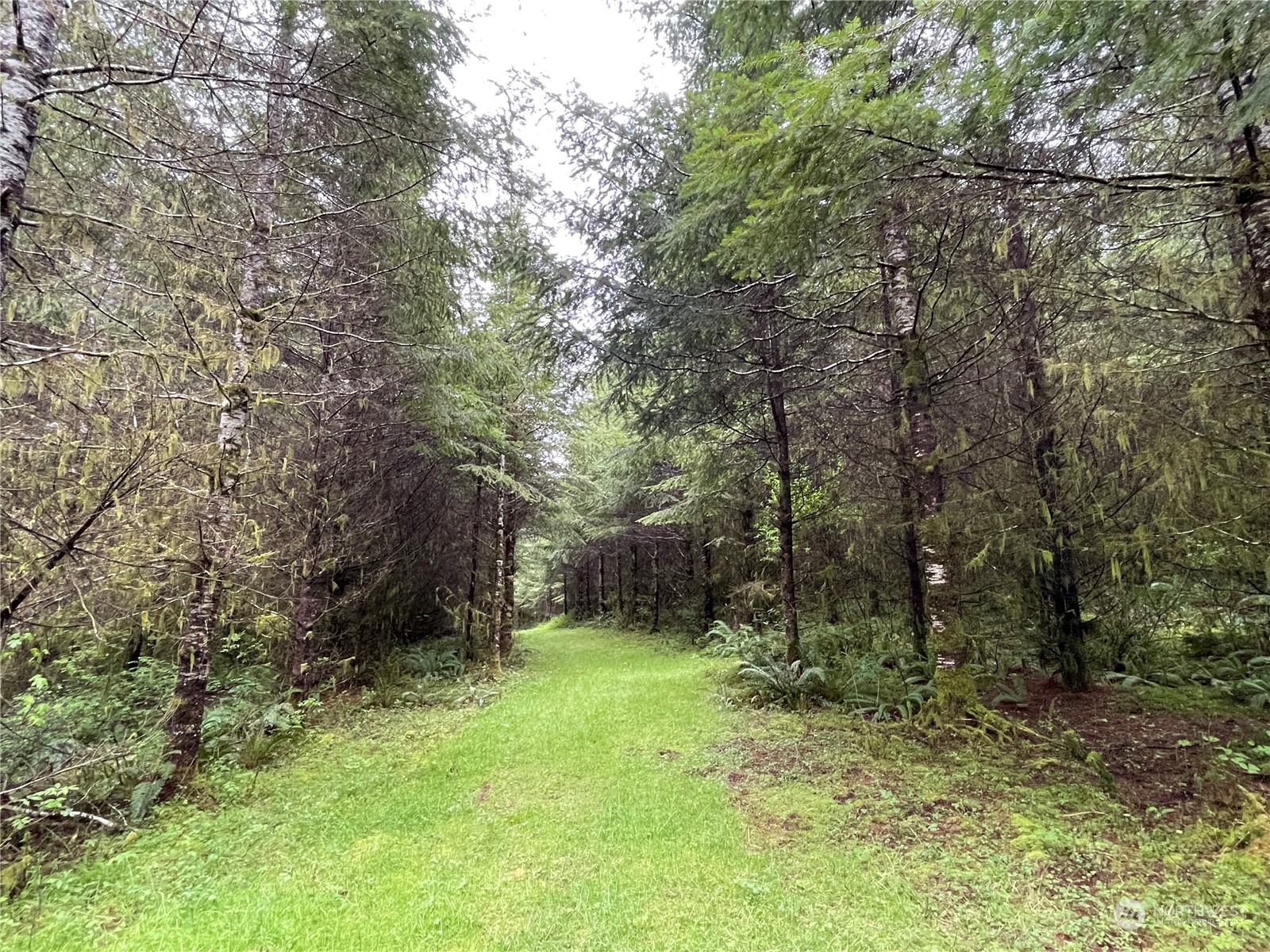 -na Germany Creek Road Longview, WA 98632 - Photo 16 of 37 Gallery Image 16