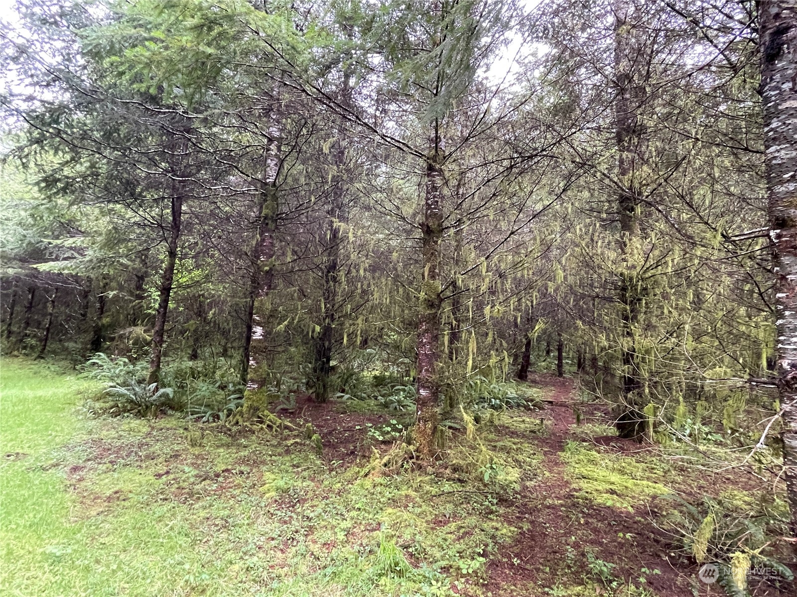 -na Germany Creek Road Longview, WA 98632 - Photo 17 of 37 Gallery Image 17
