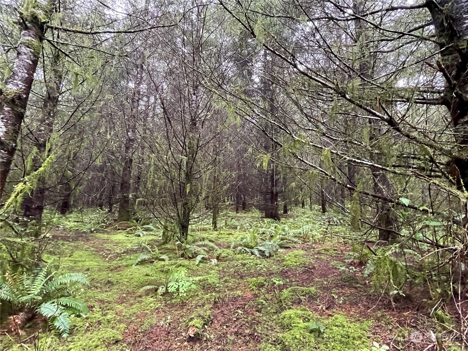 -na Germany Creek Road Longview, WA 98632 - Photo 18 of 37 Gallery Image 18