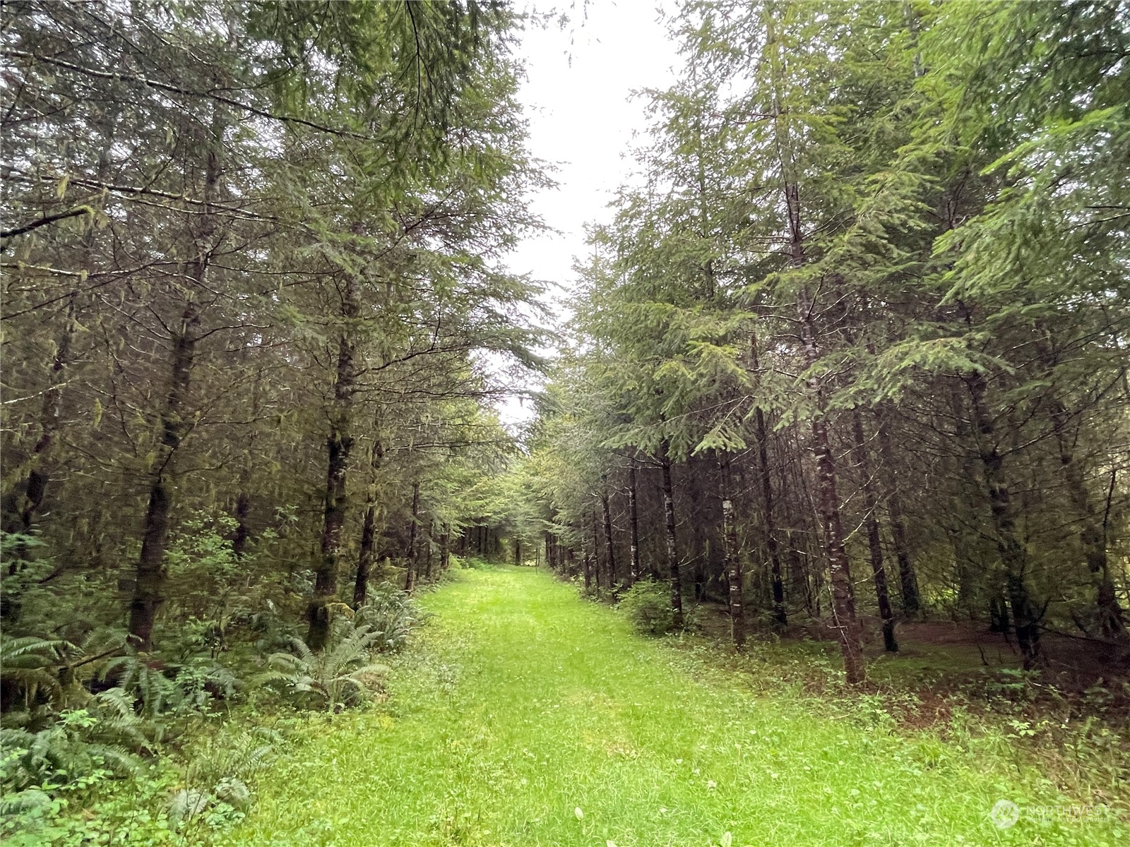 -na Germany Creek Road Longview, WA 98632 - Photo 19 of 37 Gallery Image 19