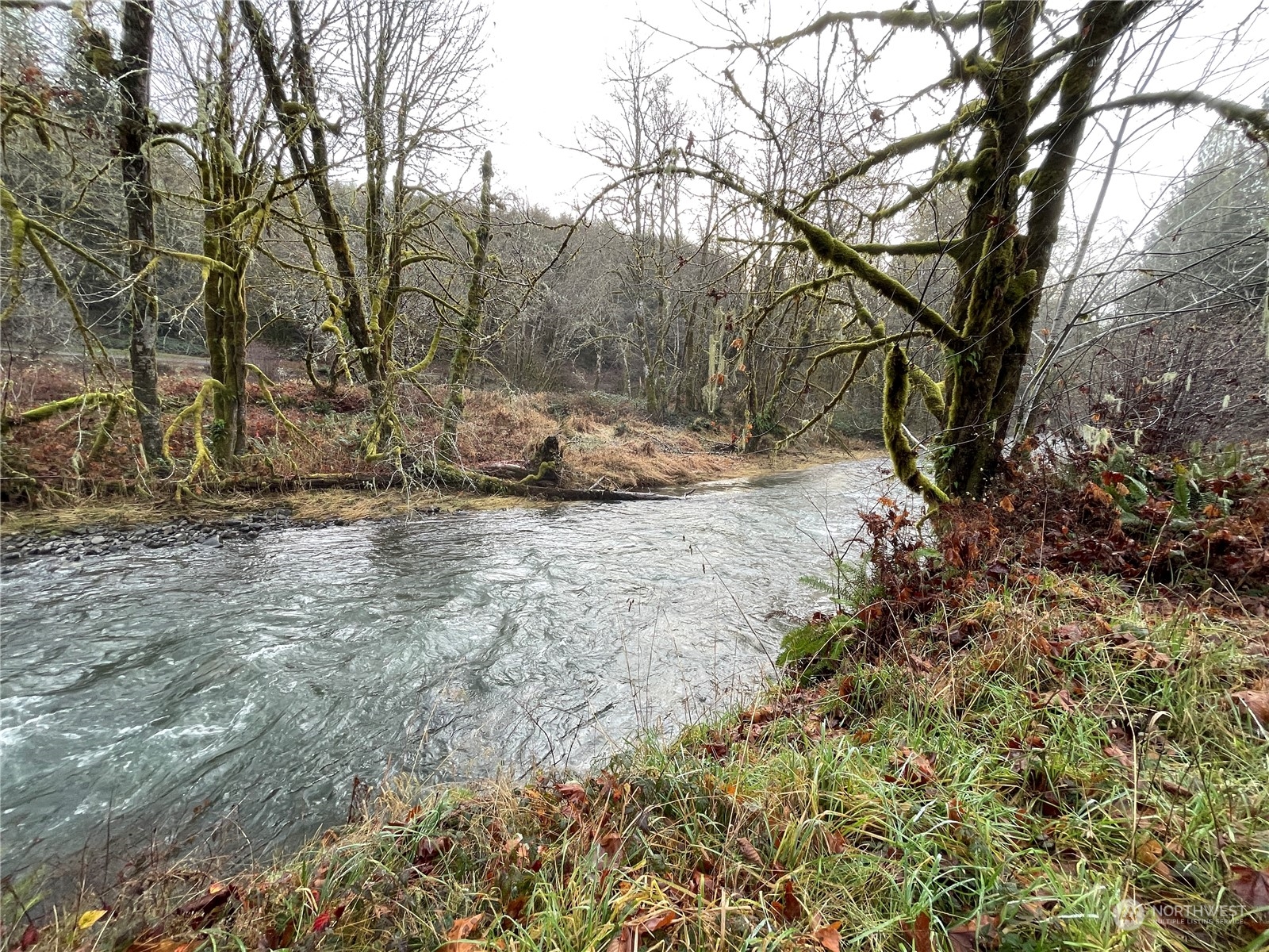 -na Germany Creek Road Longview, WA 98632 - Photo 21 of 37 Gallery Image 21