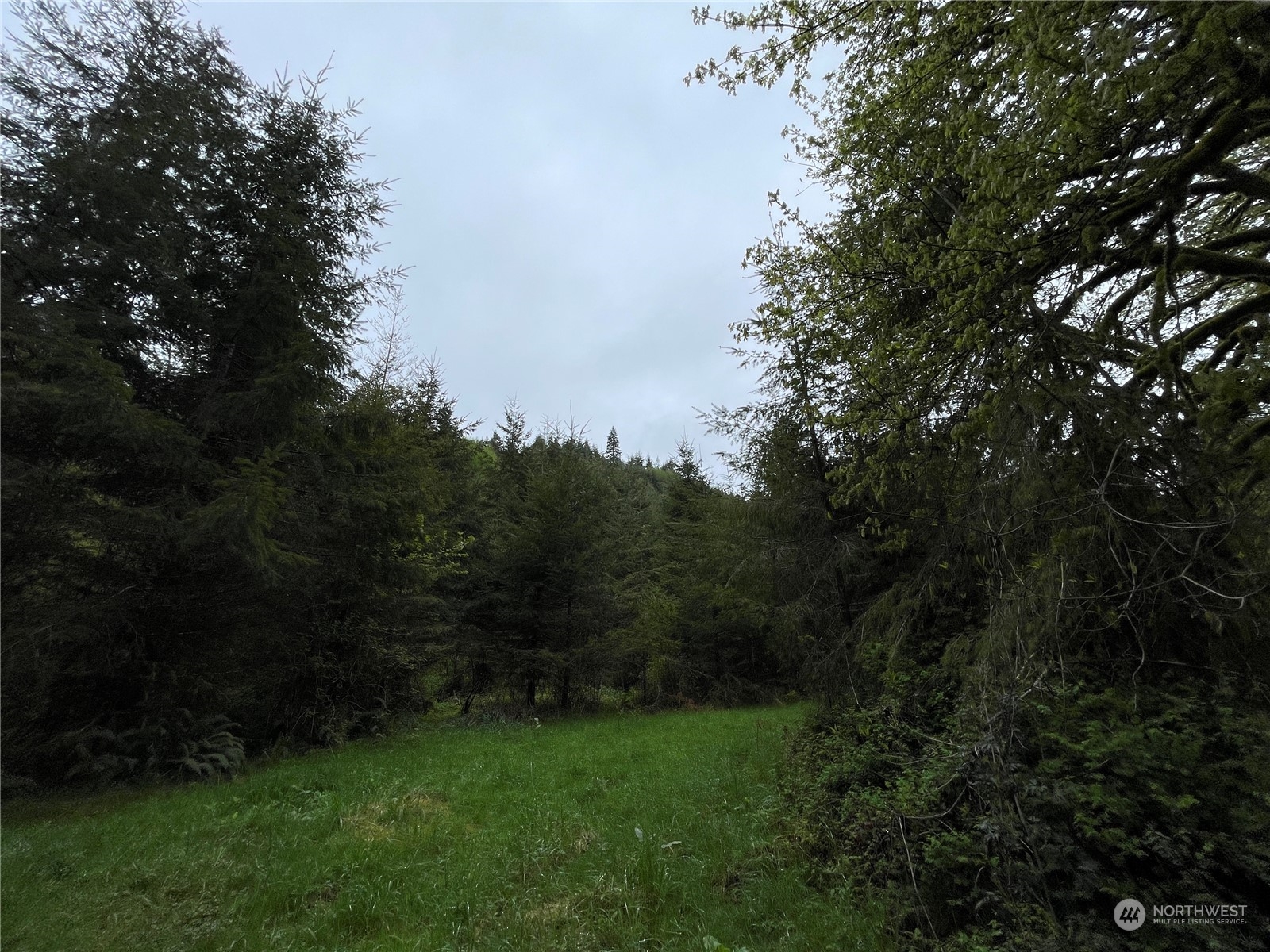-na Germany Creek Road Longview, WA 98632 - Photo 22 of 37 Gallery Image 22