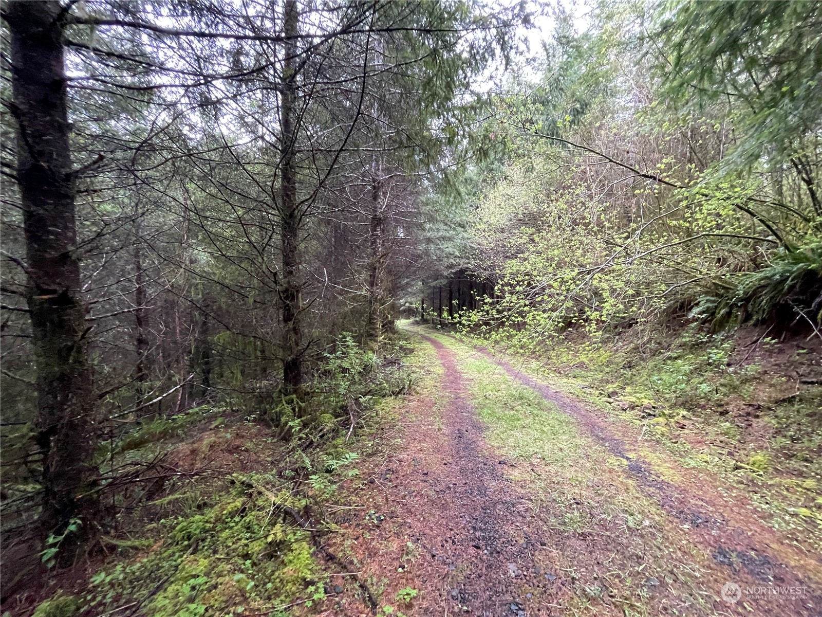 -na Germany Creek Road Longview, WA 98632 - Photo 24 of 37 Gallery Image 24