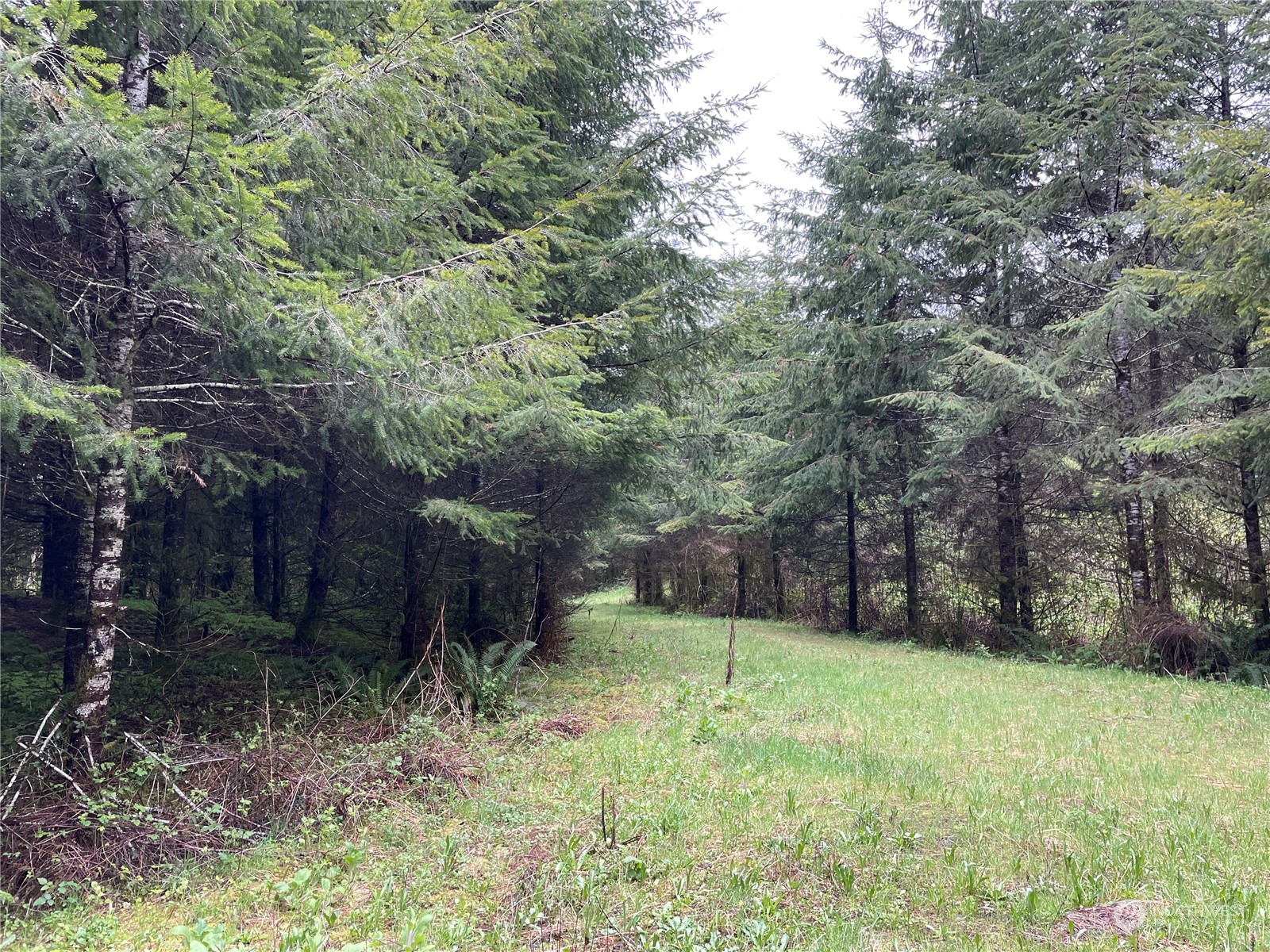 -na Germany Creek Road Longview, WA 98632 - Photo 25 of 37 Gallery Image 25