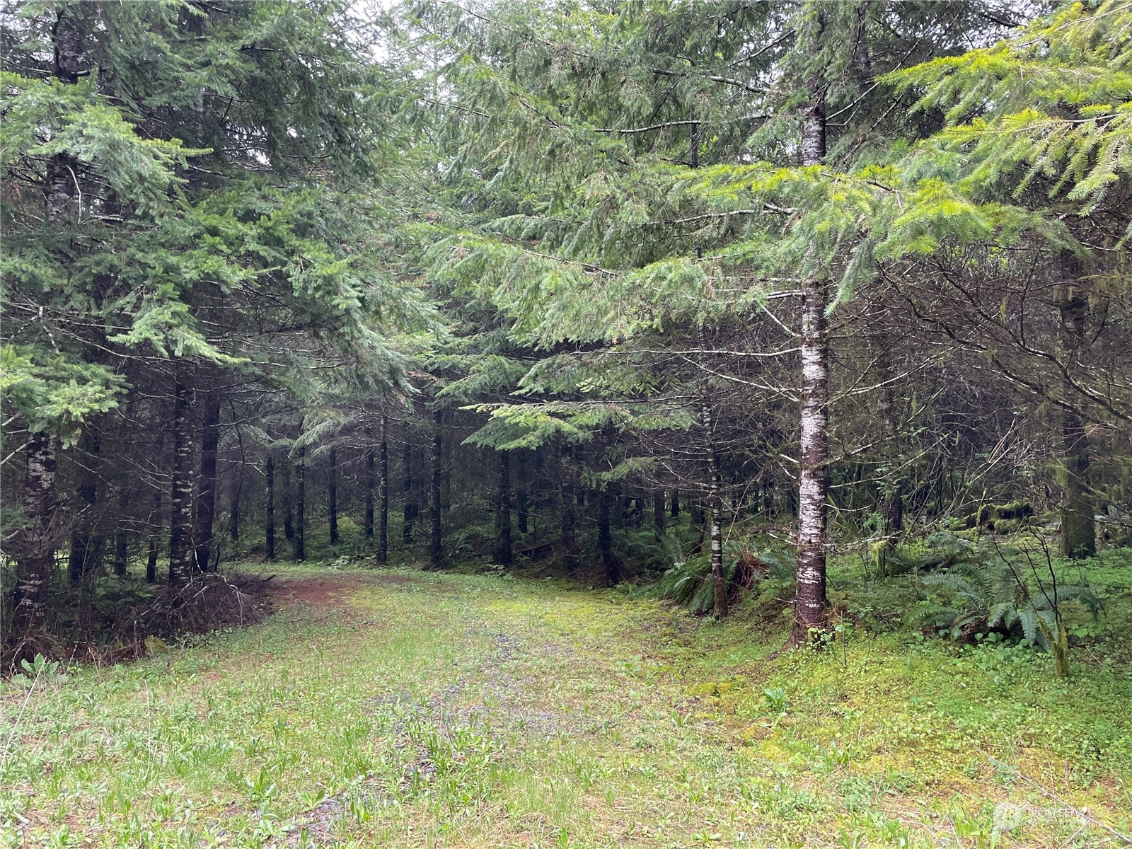 -na Germany Creek Road Longview, WA 98632 - Photo 27 of 37 Gallery Image 27