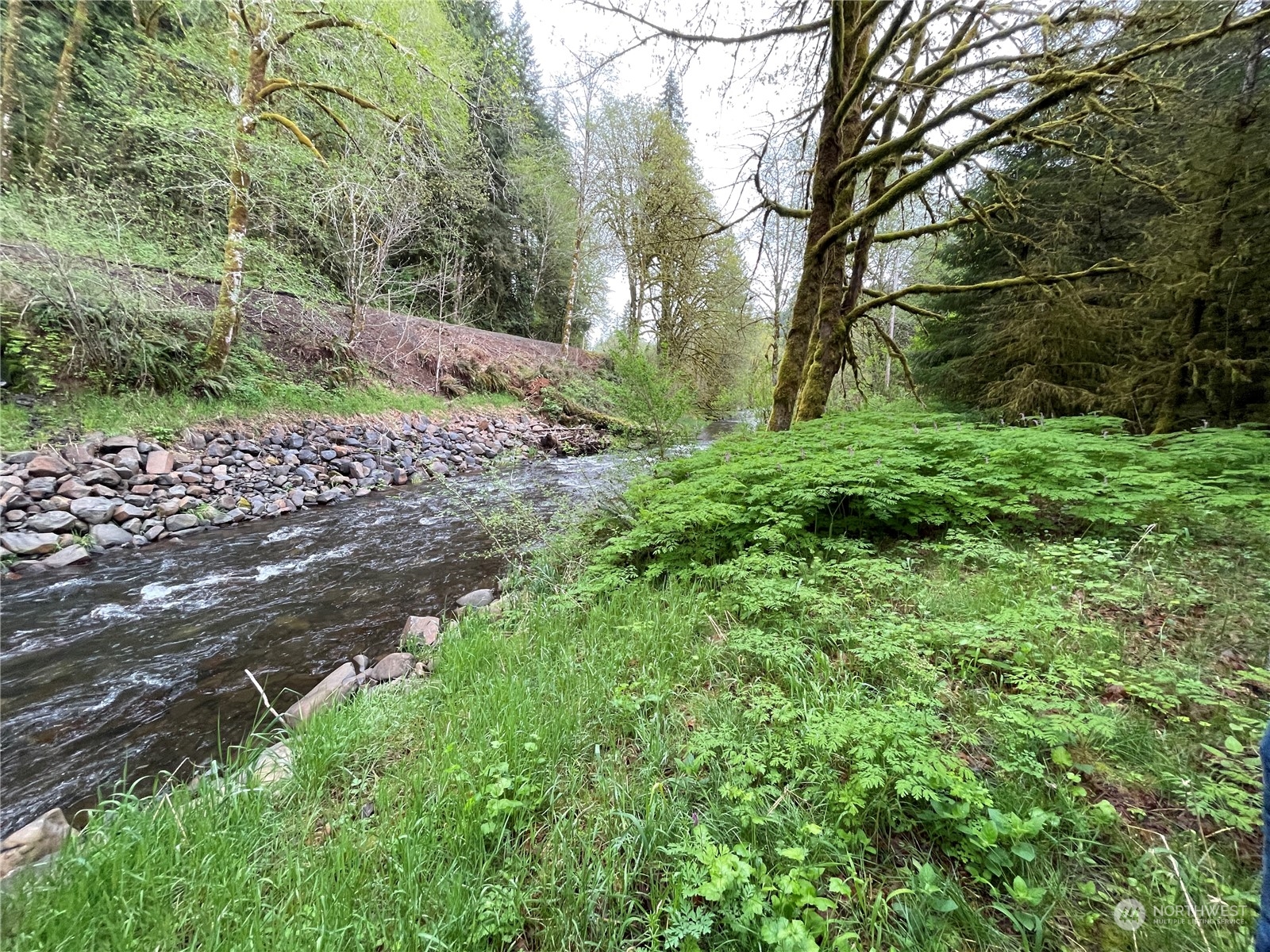 -na Germany Creek Road Longview, WA 98632 - Photo 30 of 37 Gallery Image 30