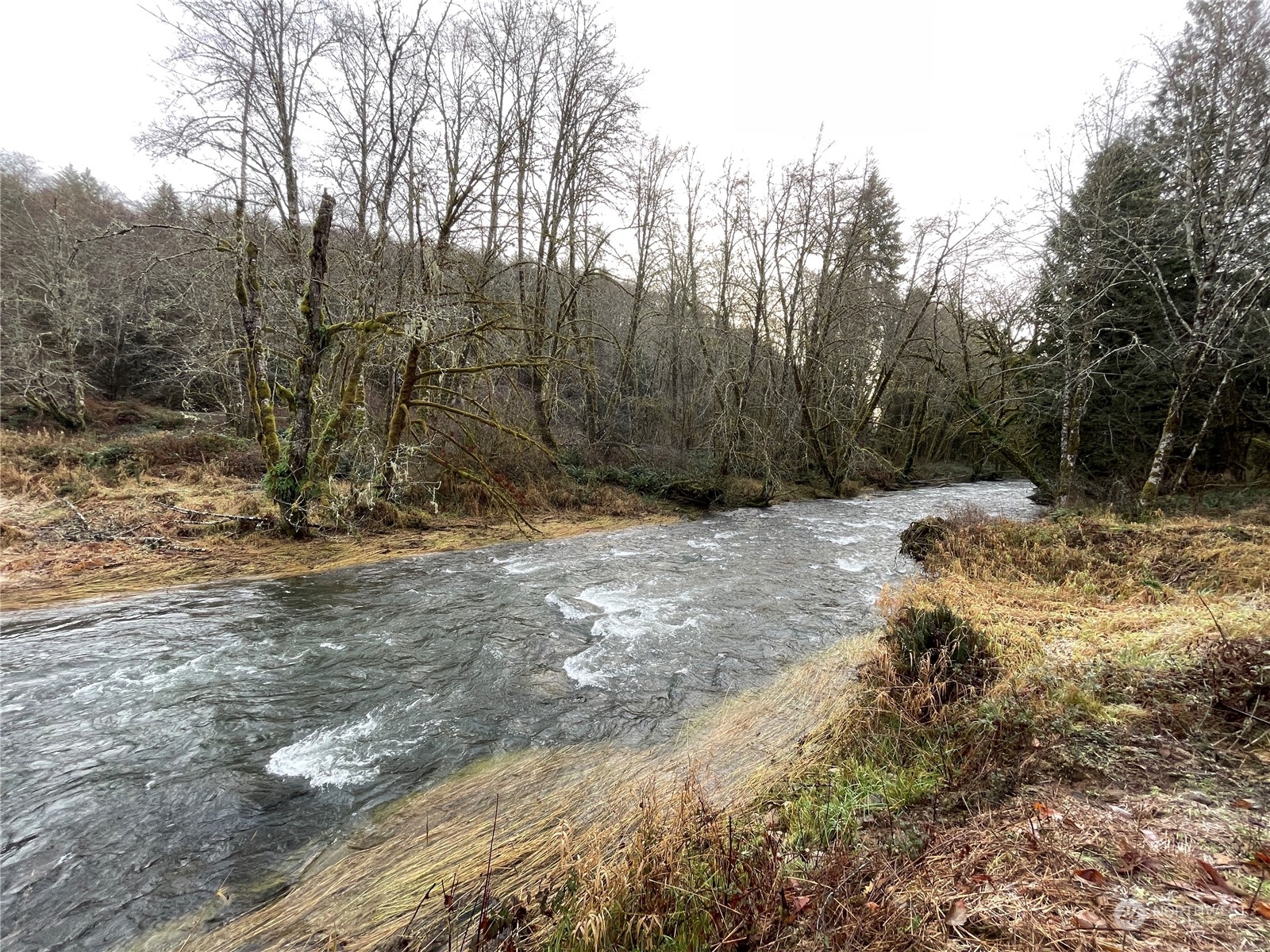 -na Germany Creek Road Longview, WA 98632 - Photo 3 of 37 Gallery Image 3