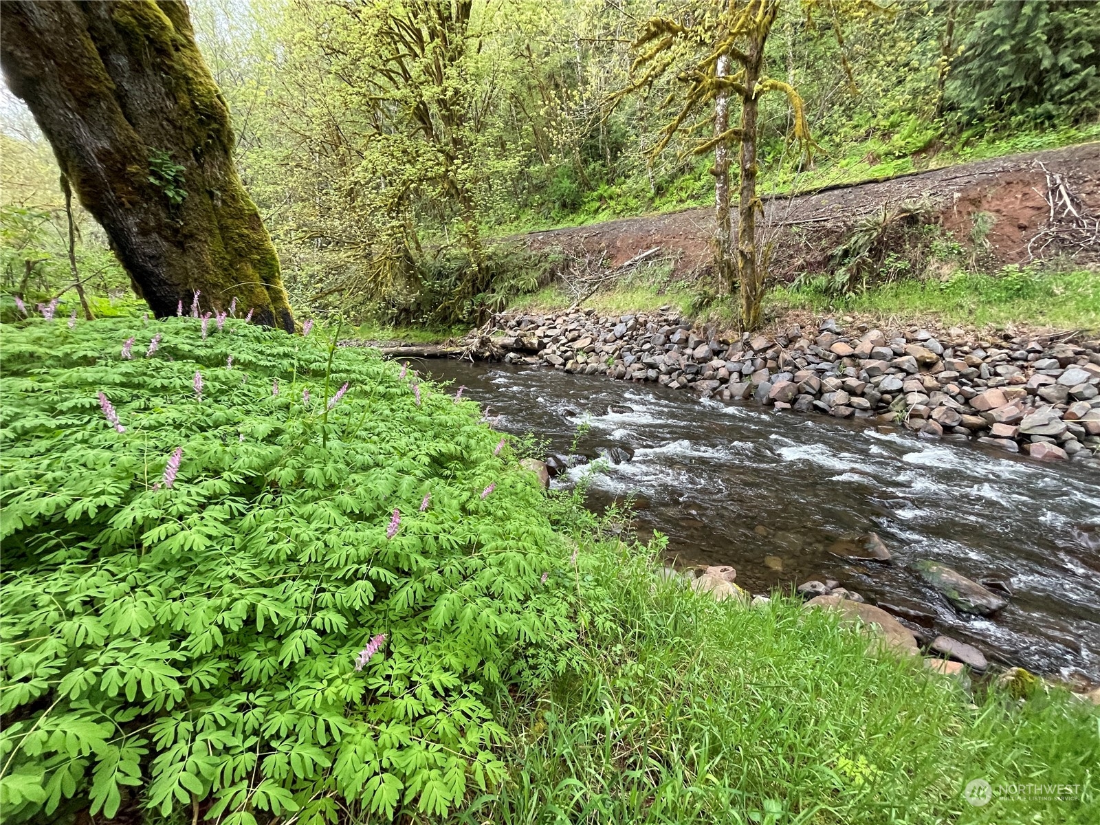 -na Germany Creek Road Longview, WA 98632 - Photo 31 of 37 Gallery Image 31