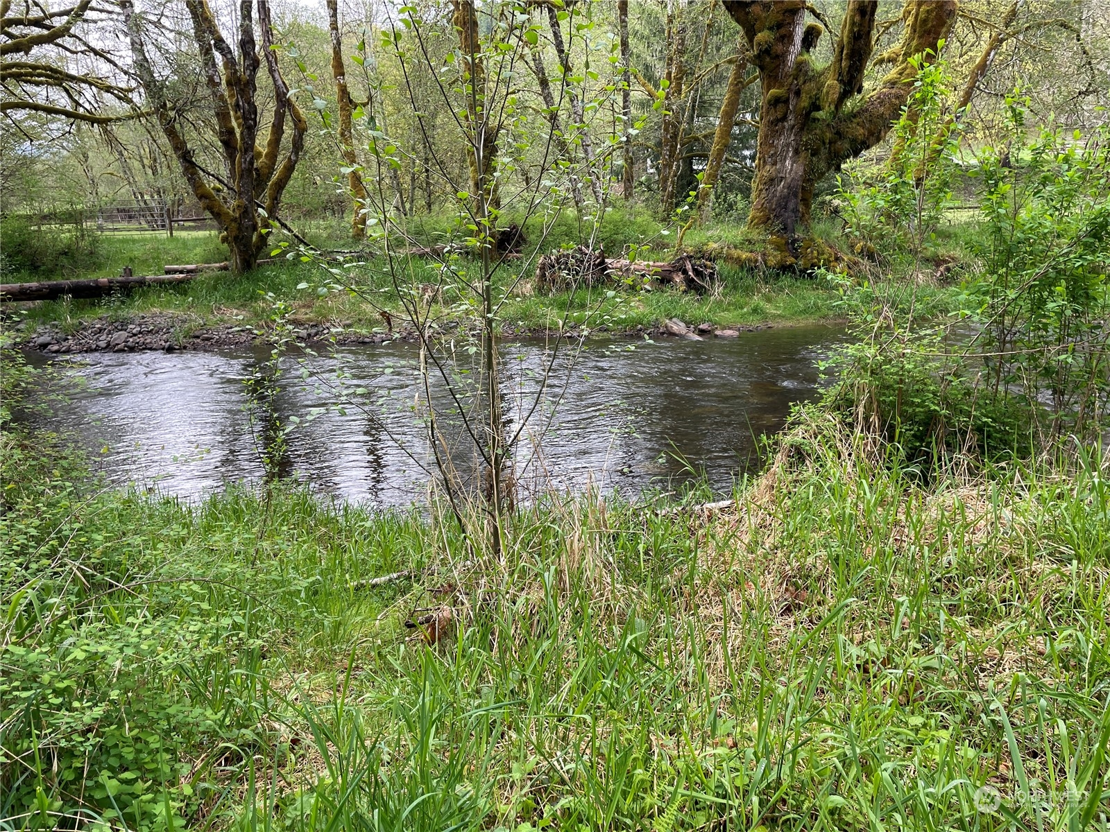 -na Germany Creek Road Longview, WA 98632 - Photo 34 of 37 Gallery Image 34
