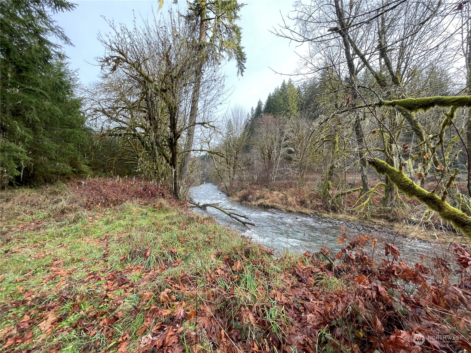-na Germany Creek Road Longview, WA 98632 - Photo 36 of 37 Gallery Image 36