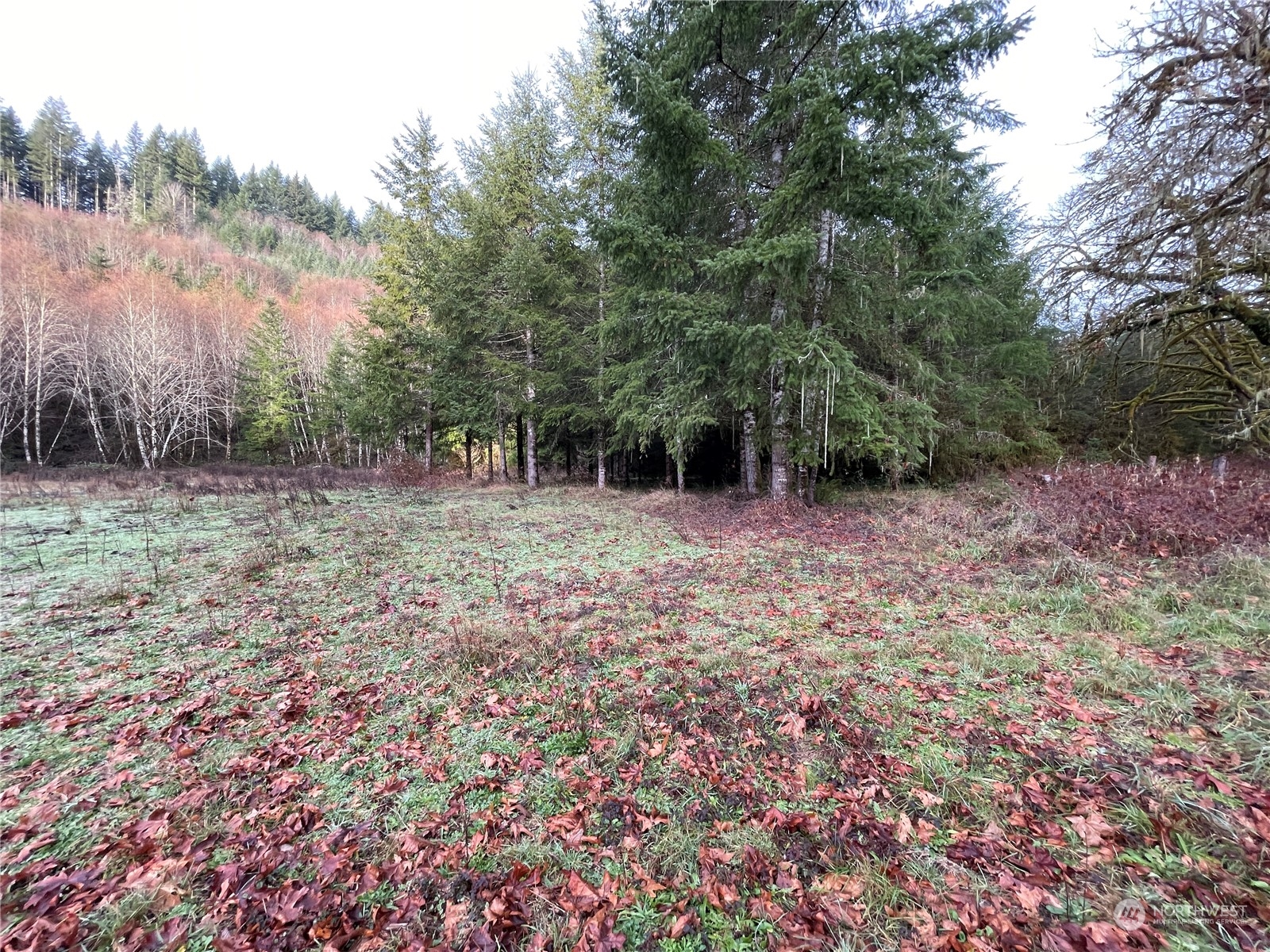 -na Germany Creek Road Longview, WA 98632 - Photo 37 of 37 Gallery Image 37