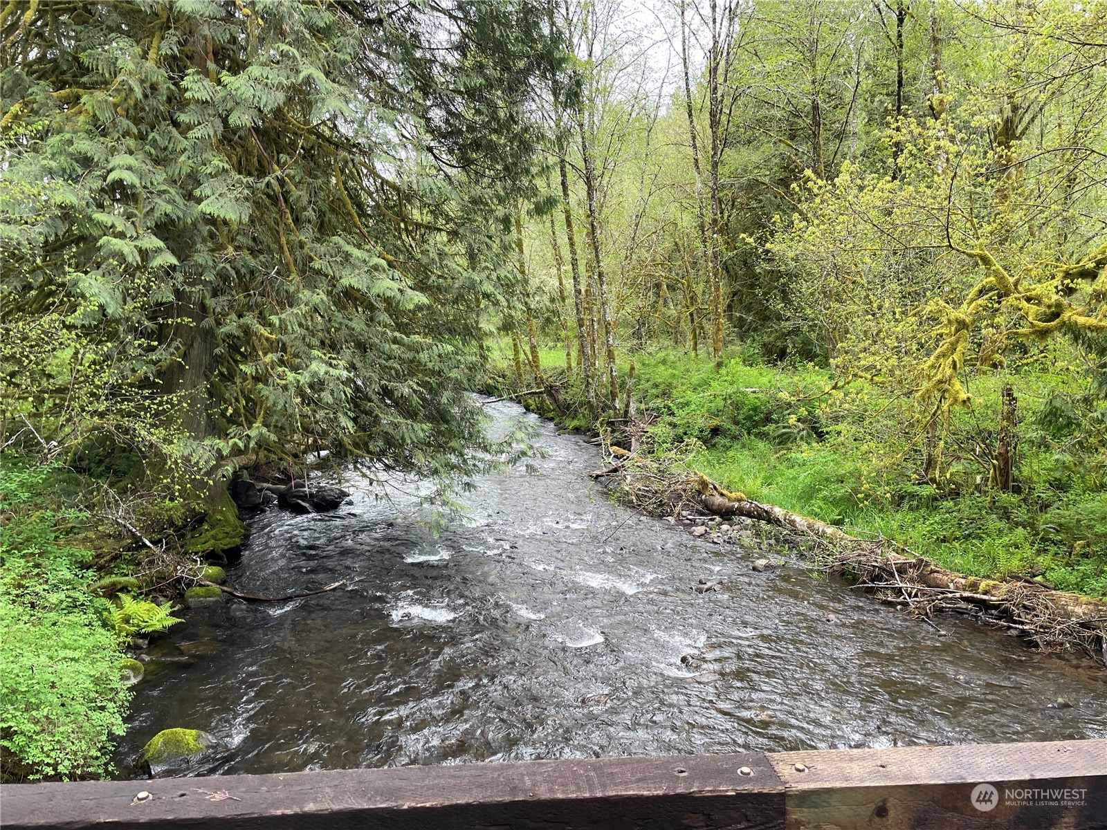 -na Germany Creek Road Longview, WA 98632 - Photo 4 of 37 Gallery Image 4