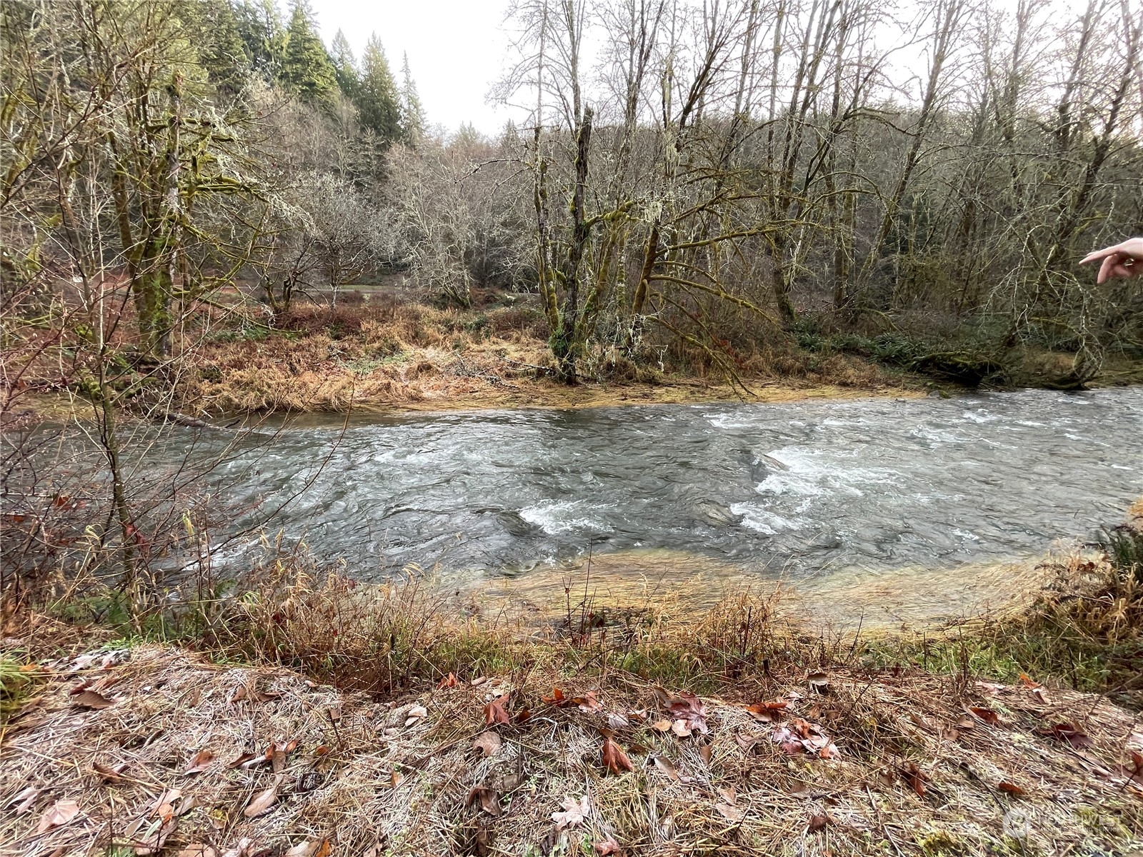 -na Germany Creek Road Longview, WA 98632 - Photo 5 of 37 Gallery Image 5