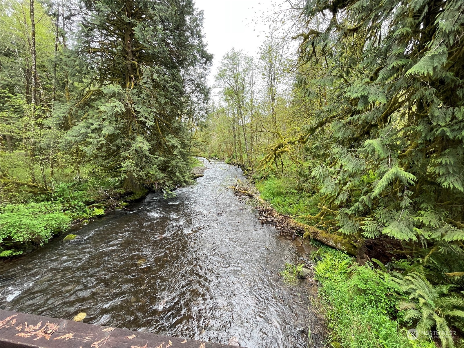 -na Germany Creek Road Longview, WA 98632 - Photo 6 of 37 Gallery Image 6