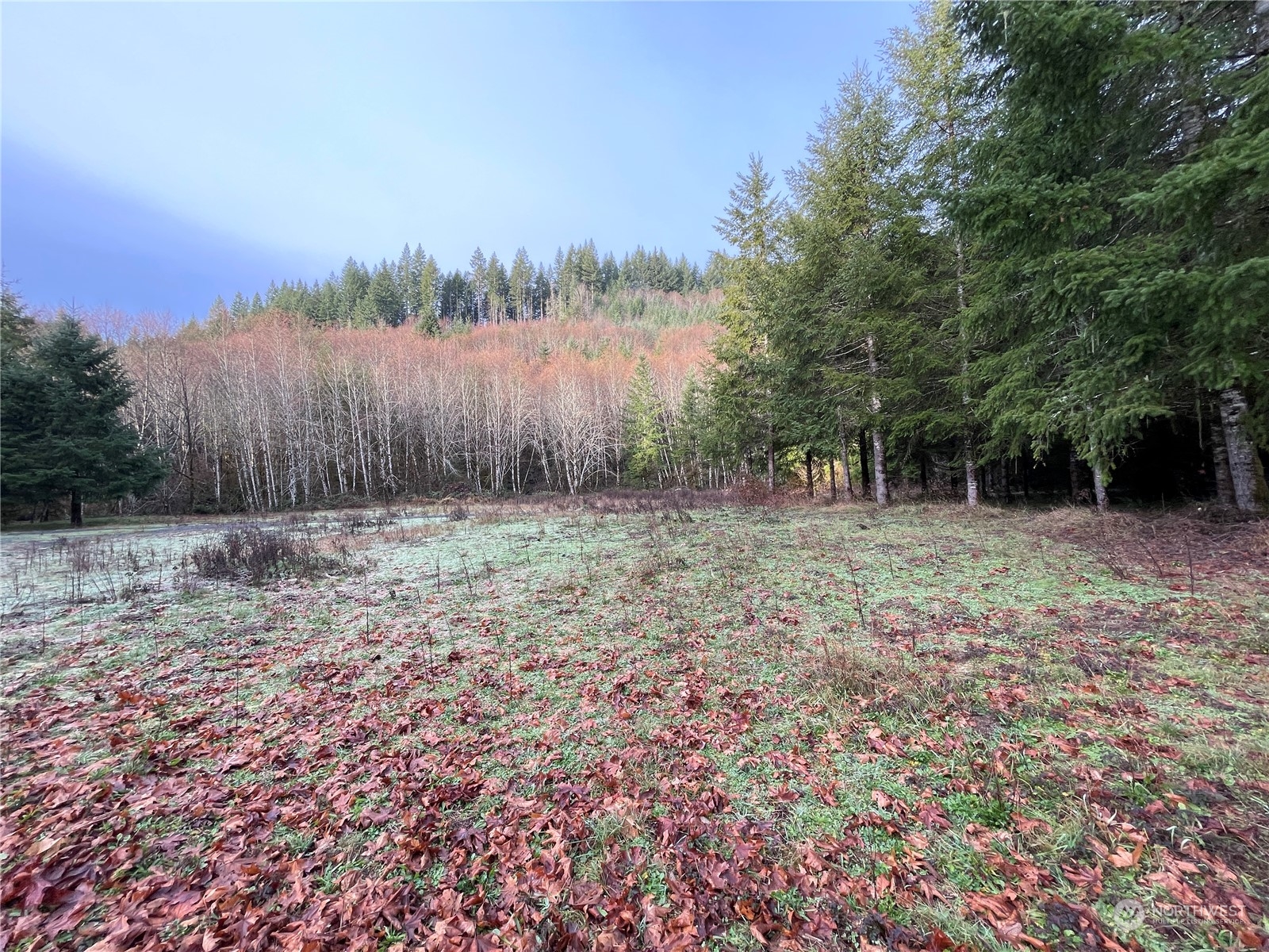 -na Germany Creek Road Longview, WA 98632 - Photo 7 of 37 Gallery Image 7