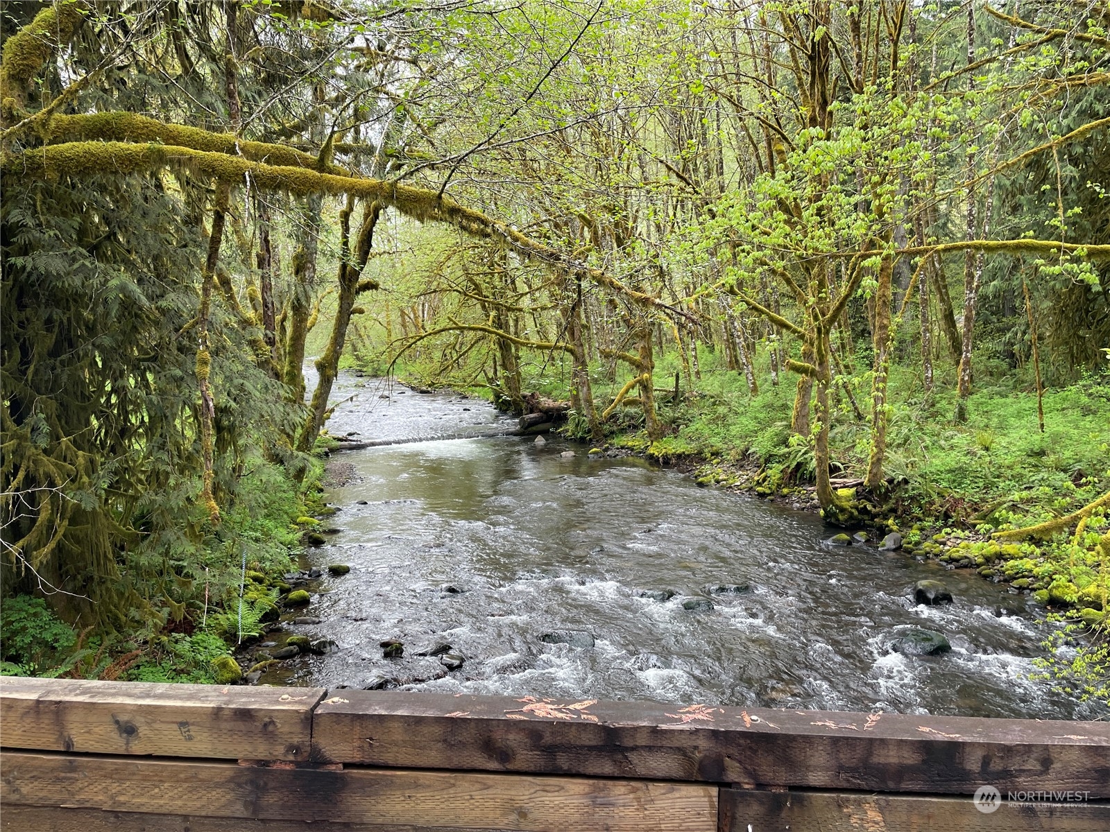 -na Germany Creek Road Longview, WA 98632 - Photo 8 of 37 Gallery Image 8