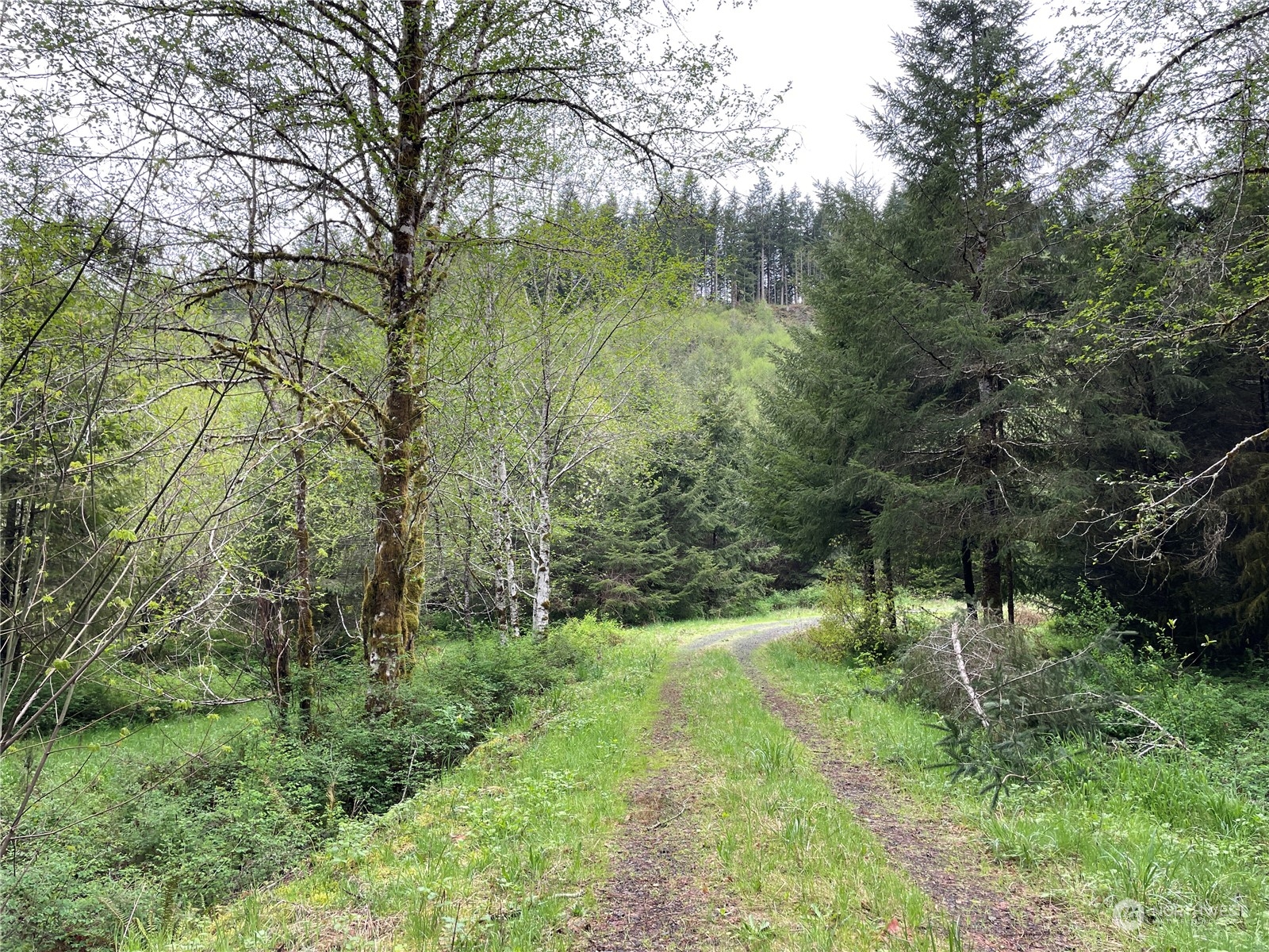 -na Germany Creek Road Longview, WA 98632 - Photo 9 of 37 Gallery Image 9
