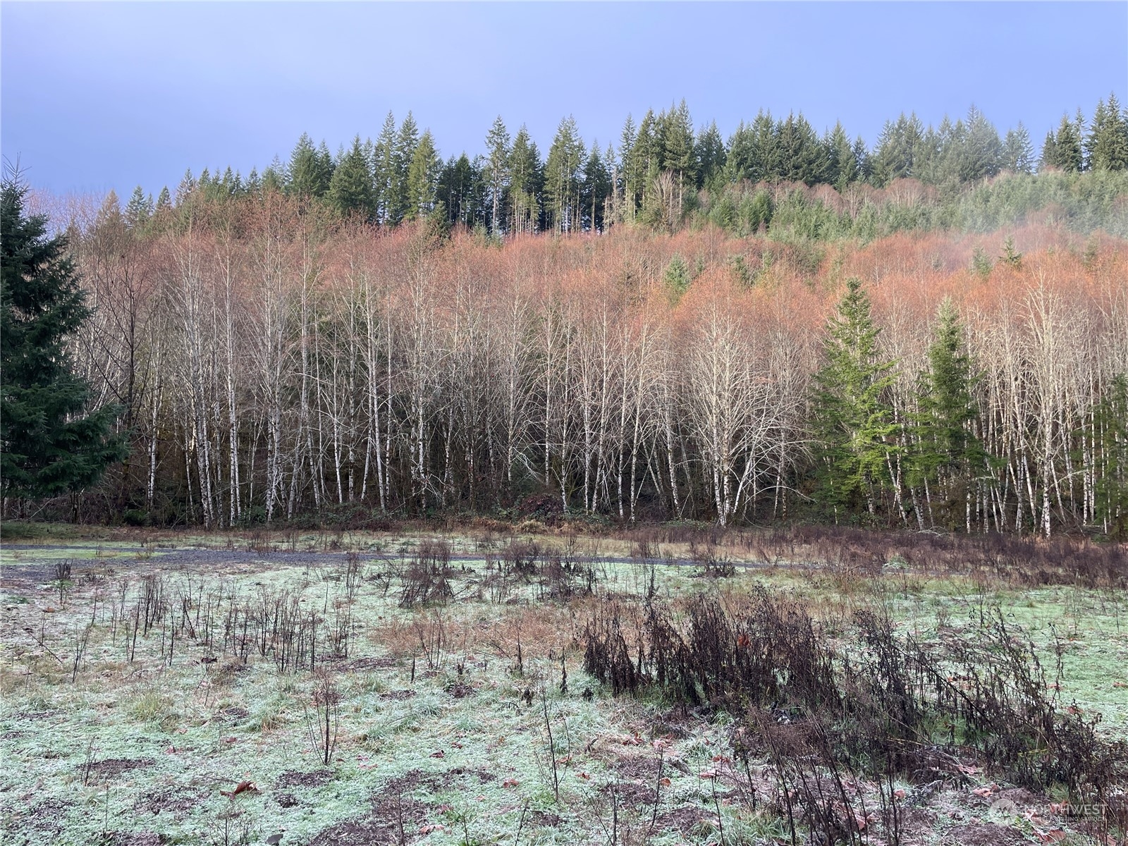 -na Germany Creek Road Longview, WA 98632 - Photo 10 of 37 Gallery Image 10