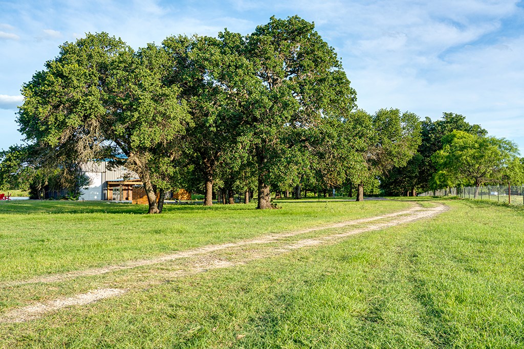 646 Victor Eckhardt Road Fredericksburg, TX 78624 - Photo 55 of 60