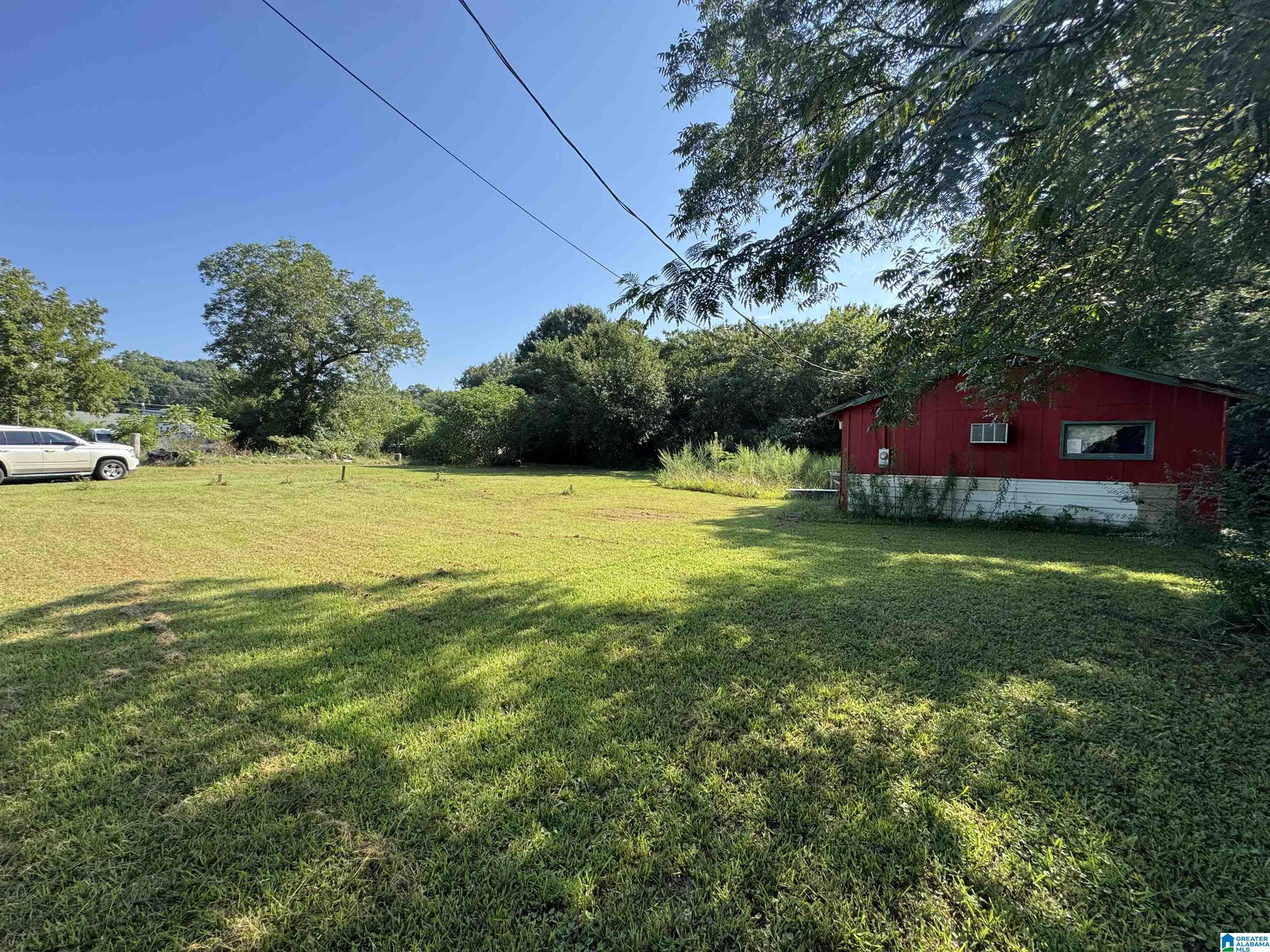 1610 Beck Road Eastaboga, AL 36260 - Photo 3 of 12