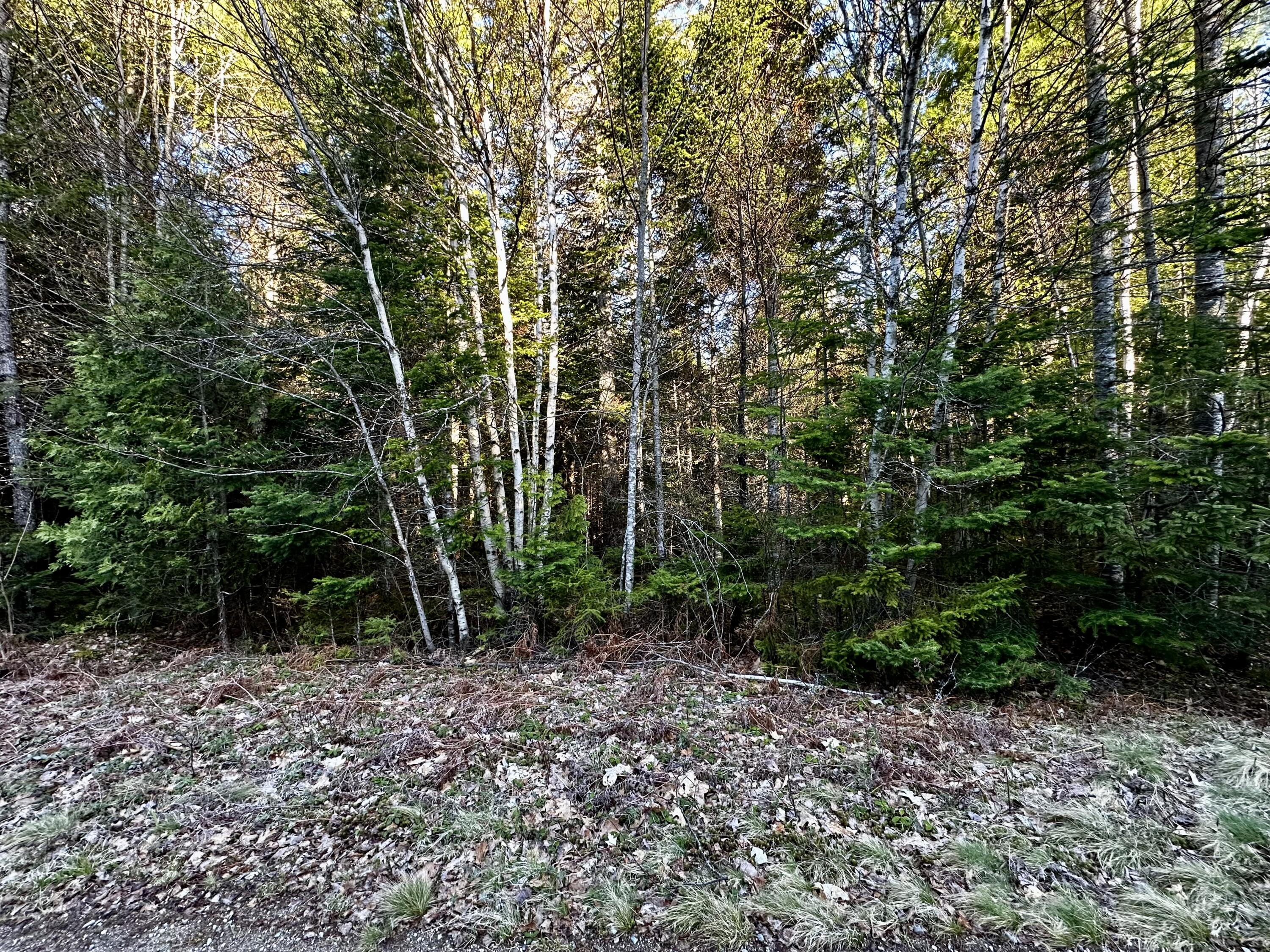 5 River Bend Road, Unit 5 Deblois, ME 04622 - Photo 22 of 25 Road frontage