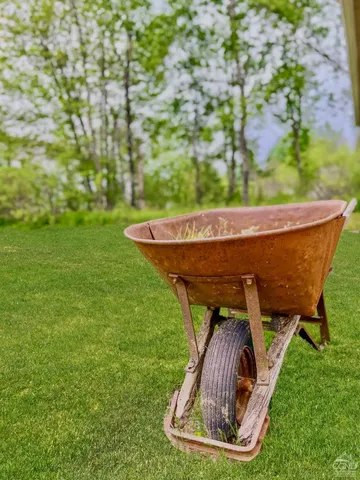 a view of a chairs in a yard