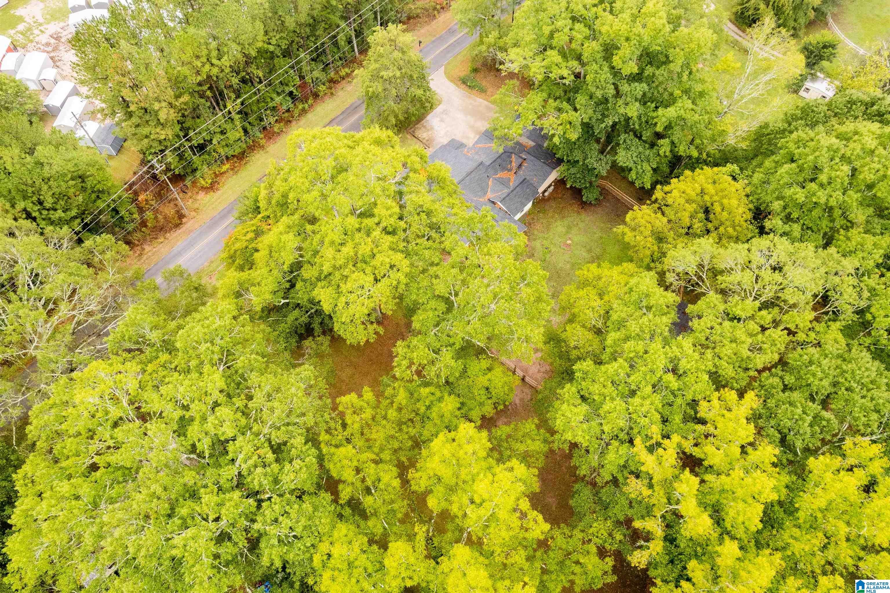 6850 Old Bradford Road Pinson, AL 35126 - Photo 36 of 36