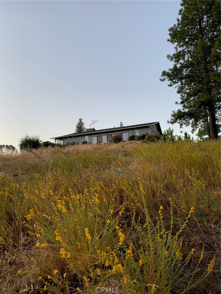 5636 East Whitlock Road Mariposa, CA 95338 - Photo 2 of 41 a view of an ocean