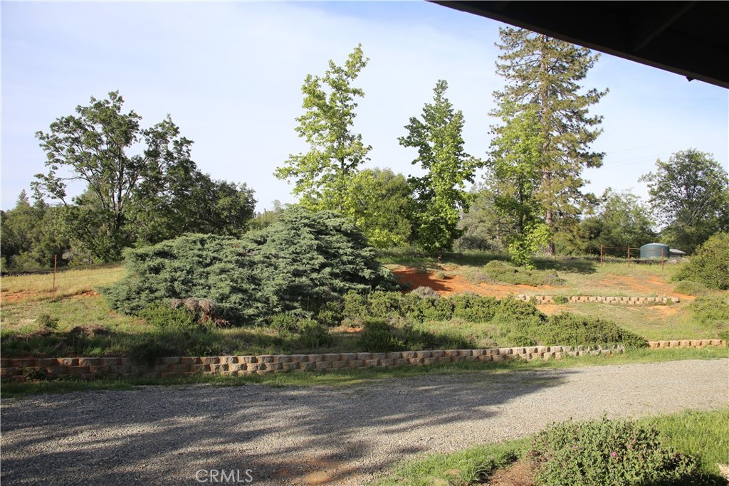 5636 East Whitlock Road Mariposa, CA 95338 - Photo 36 of 41 a view of a yard with an trees