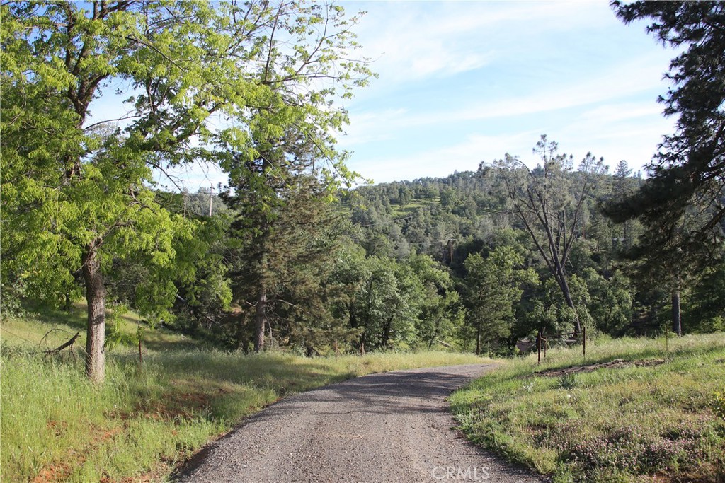 5636 East Whitlock Road Mariposa, CA 95338 - Photo 38 of 41 a view of a yard with an trees
