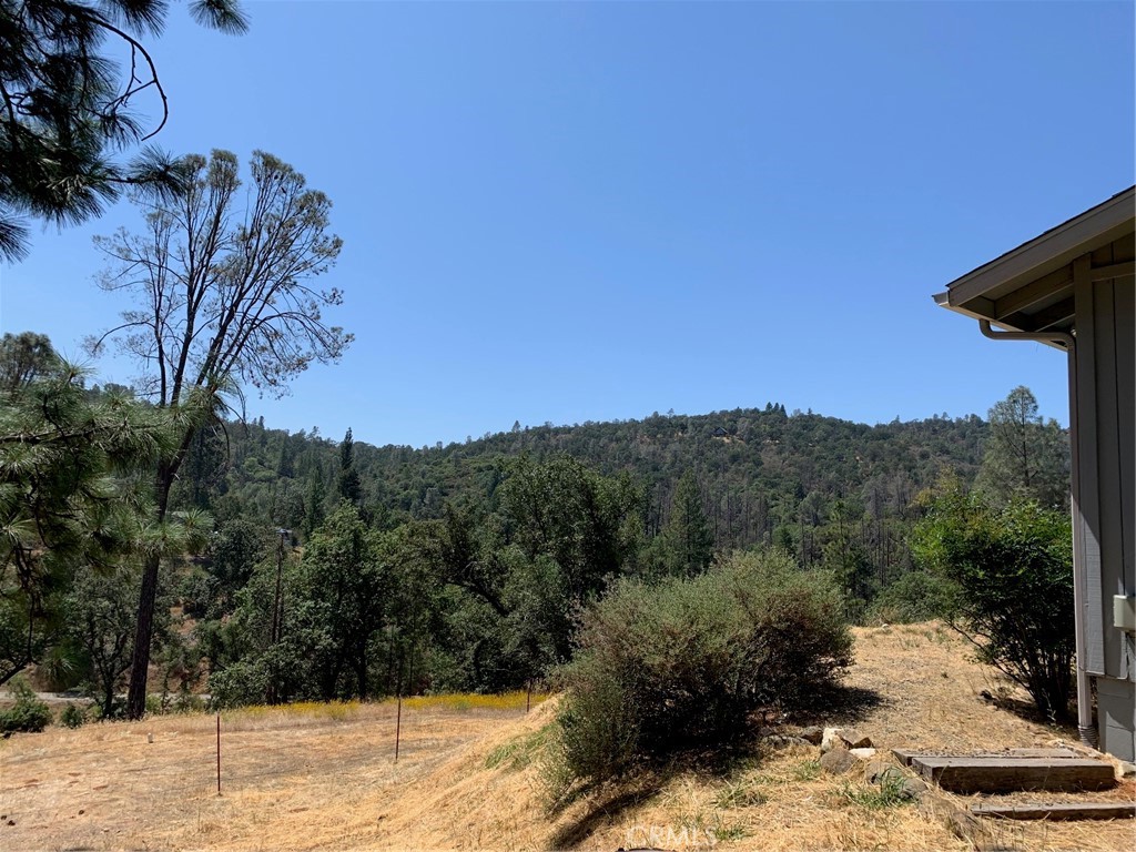 5636 East Whitlock Road Mariposa, CA 95338 - Photo 8 of 41 a view of a yard with a tree