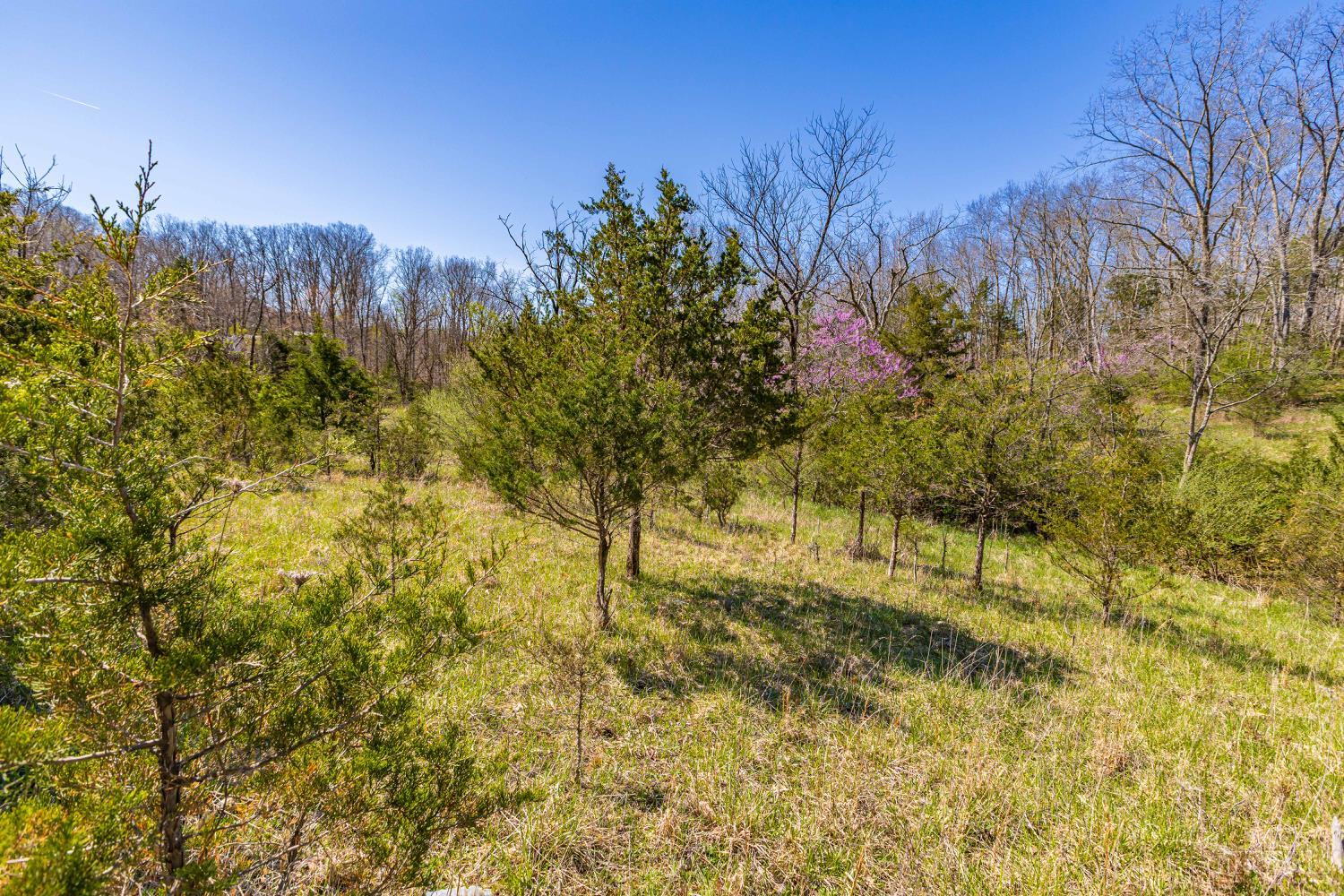 1169 Horner Chapel Road Peebles, OH 45660 - Photo 15 of 22