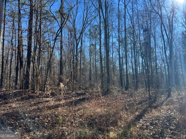 0 Creek Road Ashland, AL 36251 - Photo 2 of 7