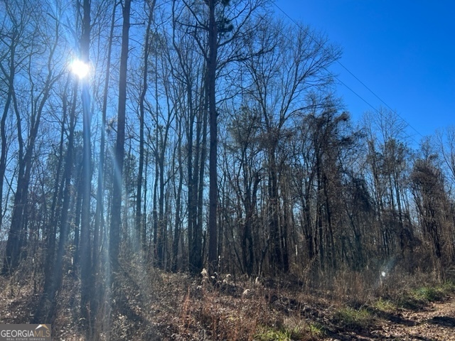 0 Creek Road Ashland, AL 36251 - Photo 3 of 7