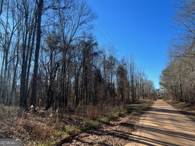 0 Creek Road Ashland, AL 36251 - Photo 4 of 7