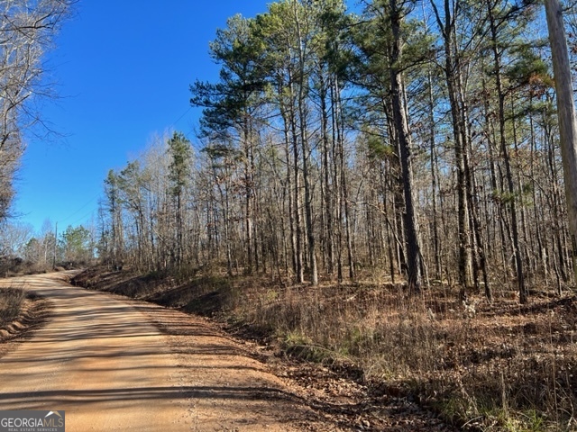 0 Creek Road Ashland, AL 36251 - Photo 5 of 7