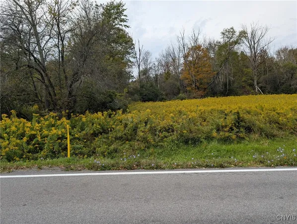 $40,000 | Gorton Road, Hamilton, NY 13346